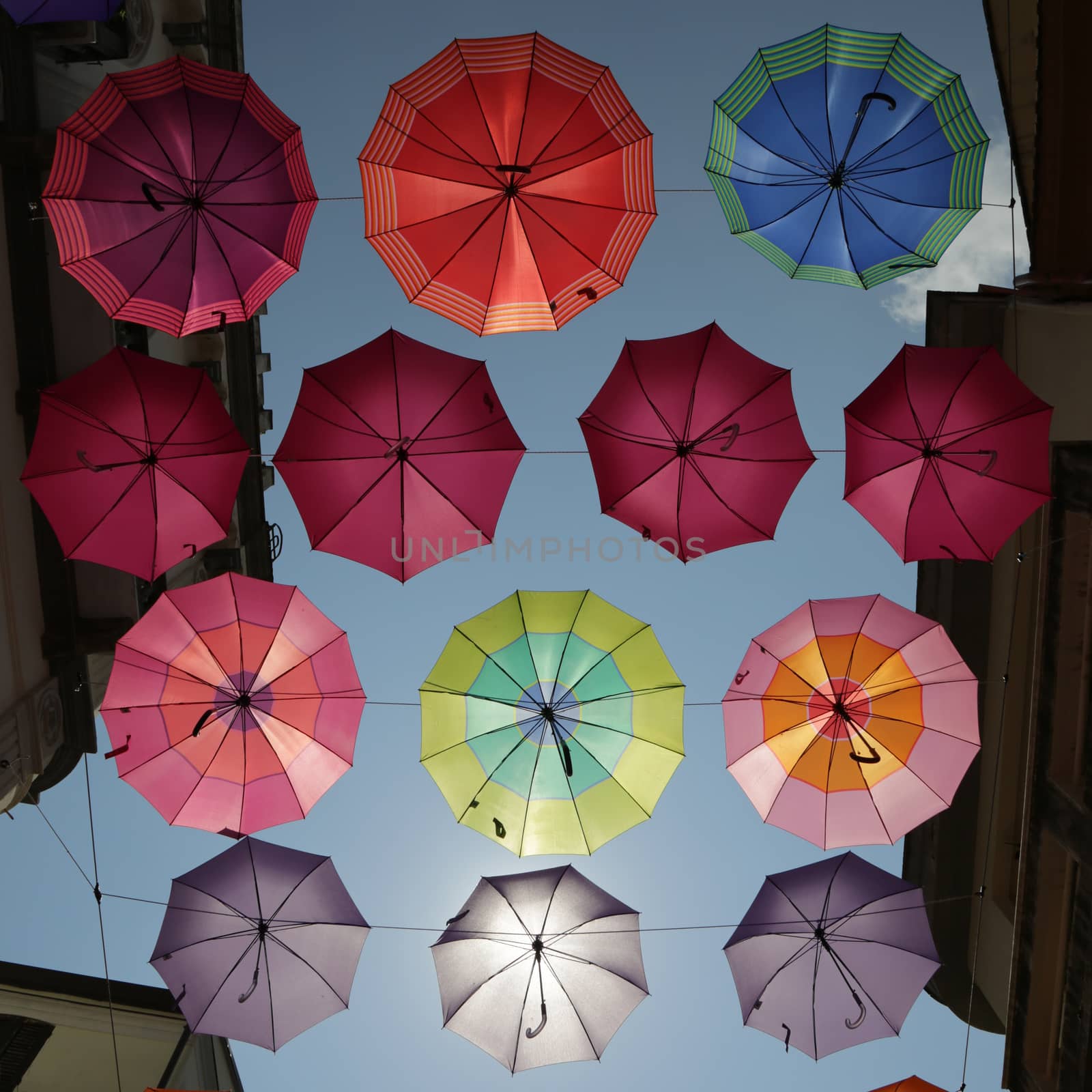 Colored parasols in the streets of Iglesias, Sardinia, Italy