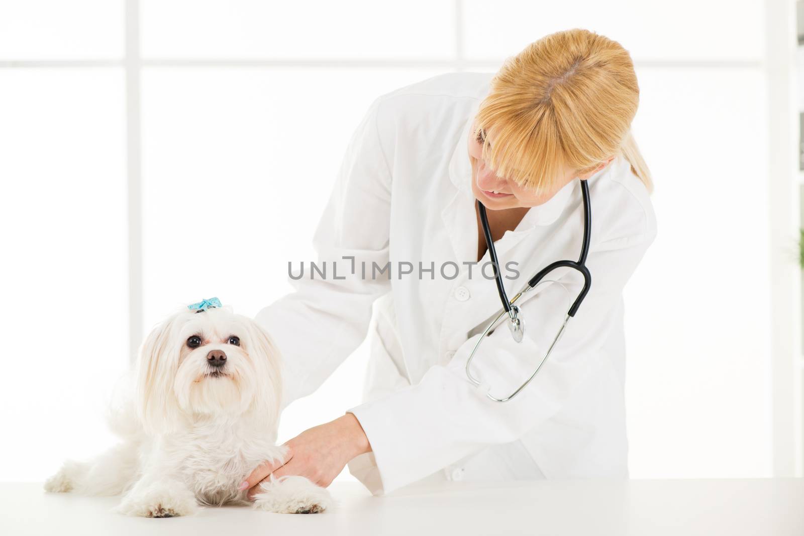 At the veterinary by MilanMarkovic78