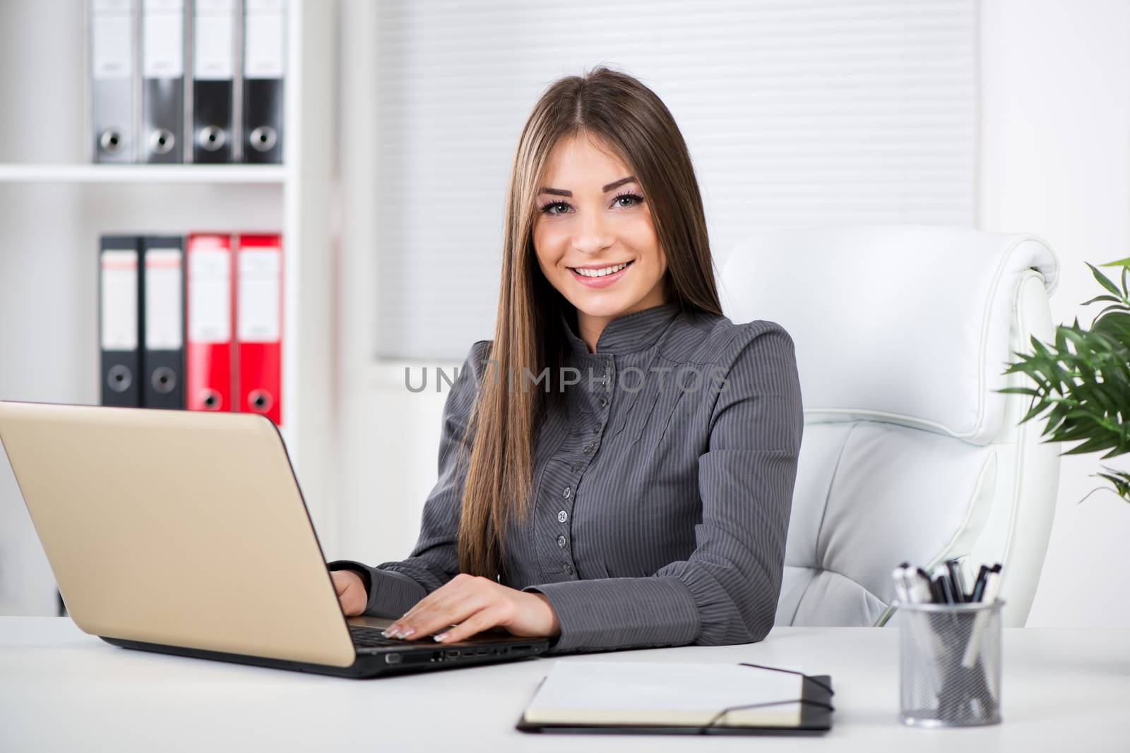 Businesswoman in the office, sitting with laptop and Looking at camera.