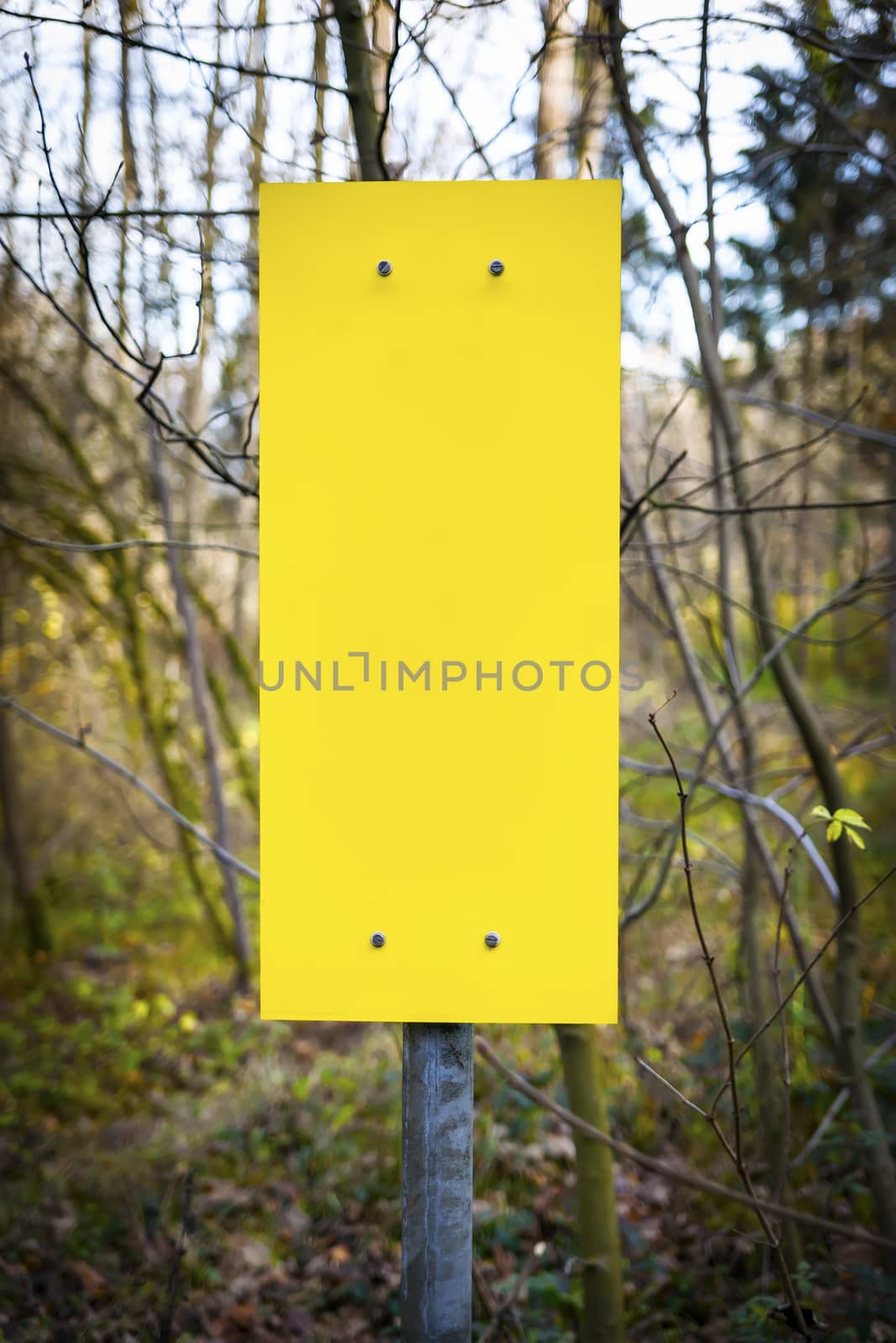 Image of empty yellow sign with free space in forest
