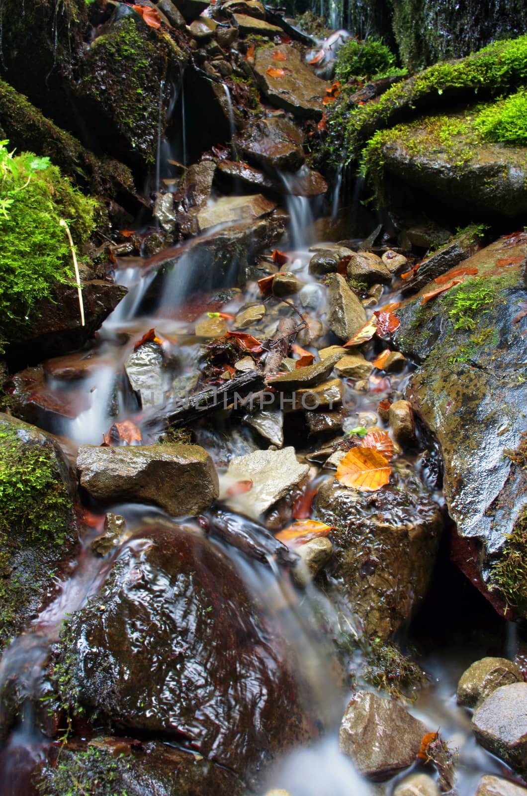 beautiful waterfall scene, ukraine carpathian shipot waterfall by dolnikow