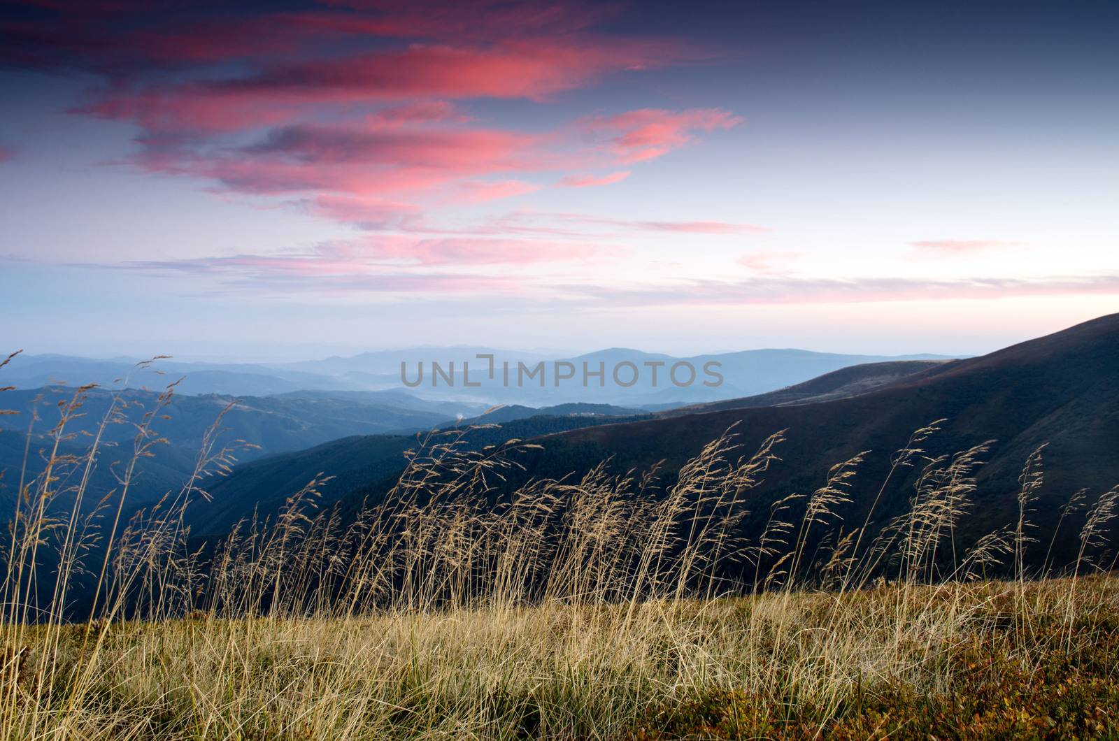 evening mountain plateau landscape (Carpathian, Ukraine) 