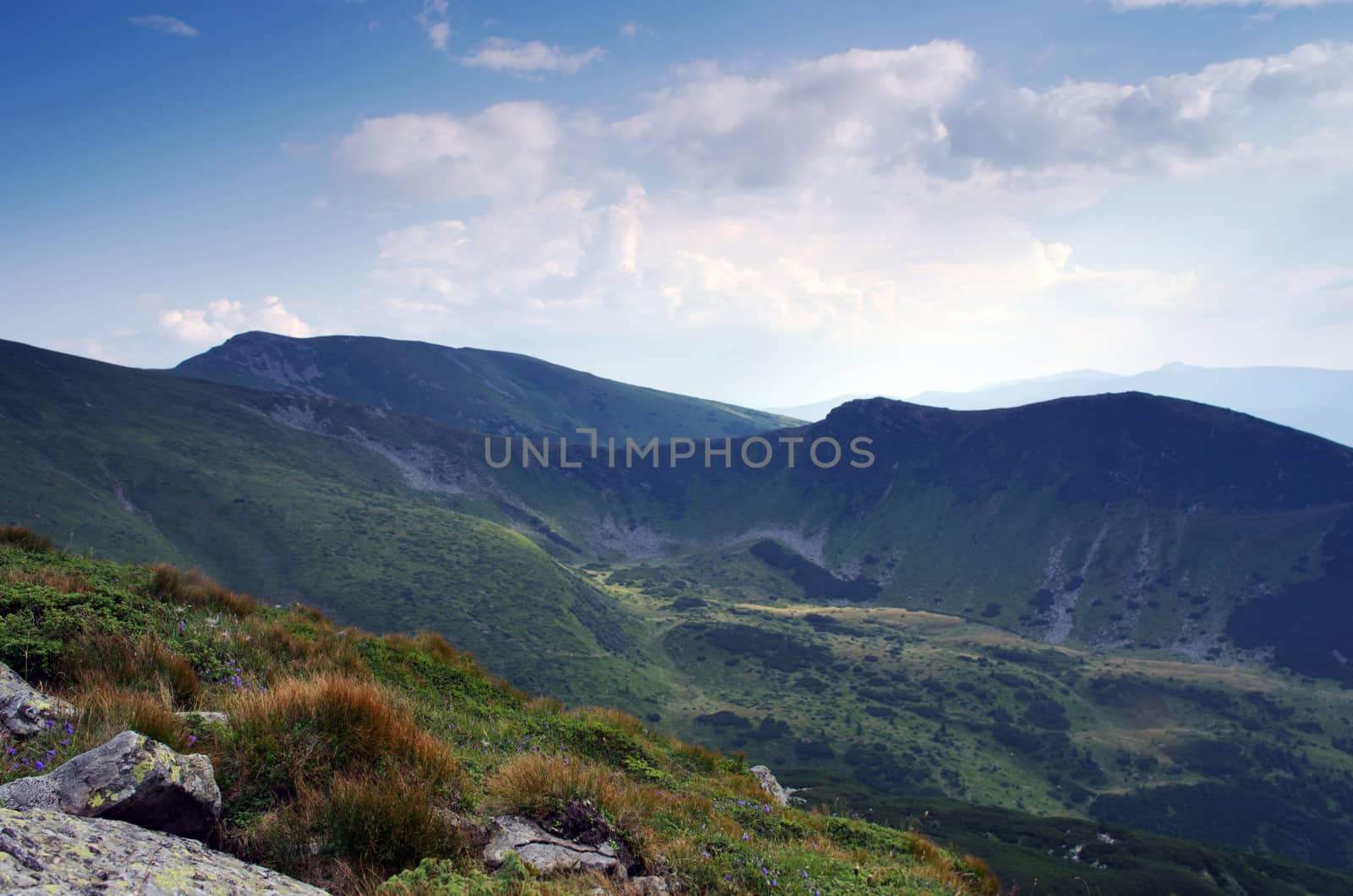 misty morning mountainside (Carpathian Mt's, Ukraine) by dolnikow