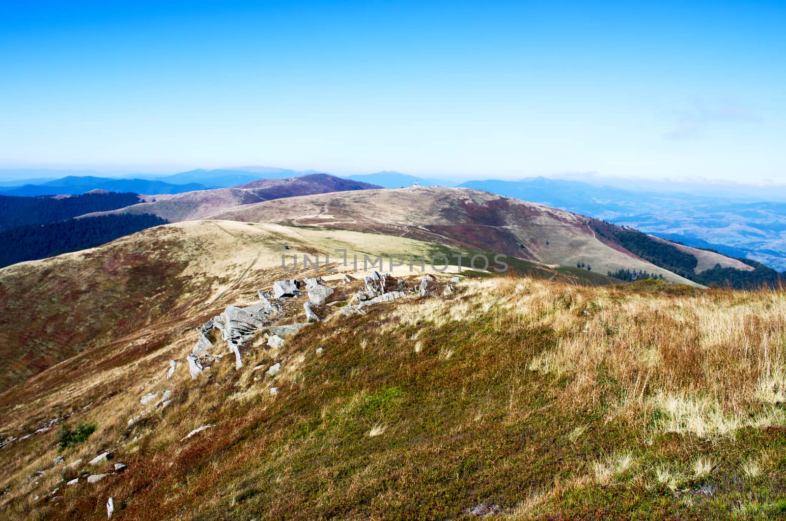 Paints fantastic fall in the Carpathian Mountains by dolnikow