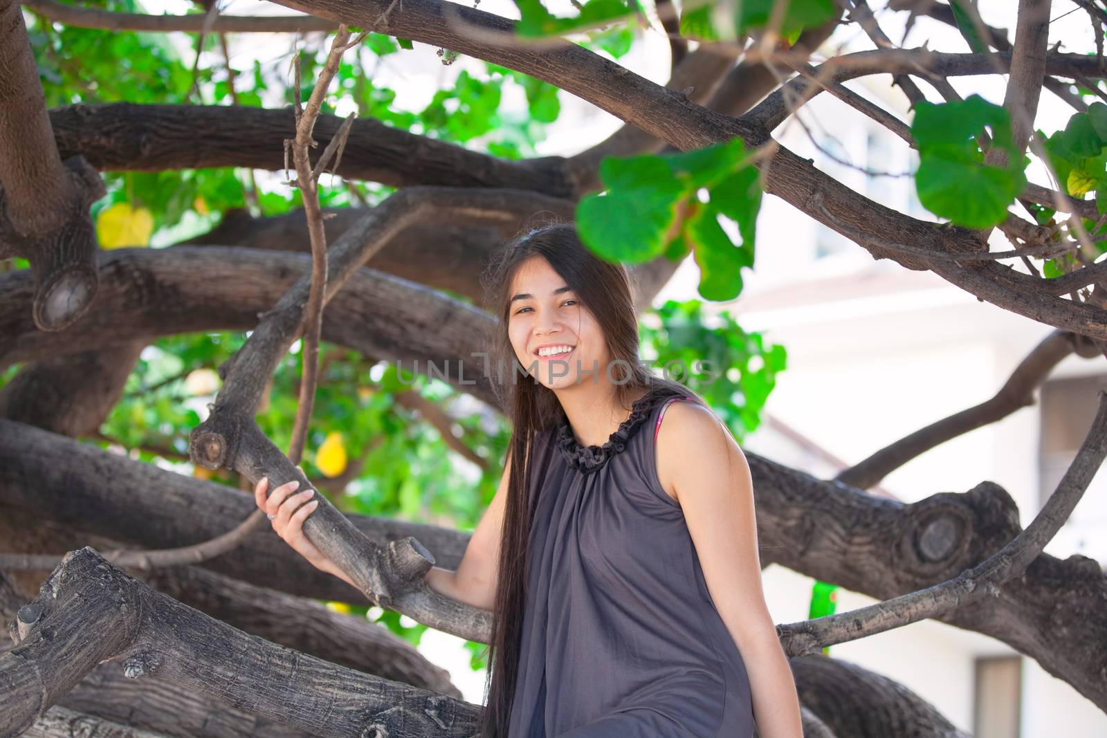 Biracial teen girl sitting on tree branch on beach  by jarenwicklund