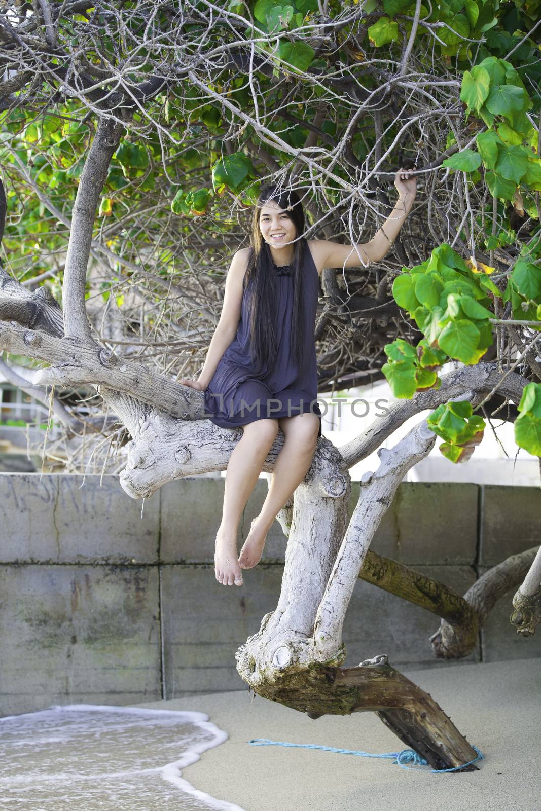 Biracial teen girl sitting on tree branch on beach  by jarenwicklund