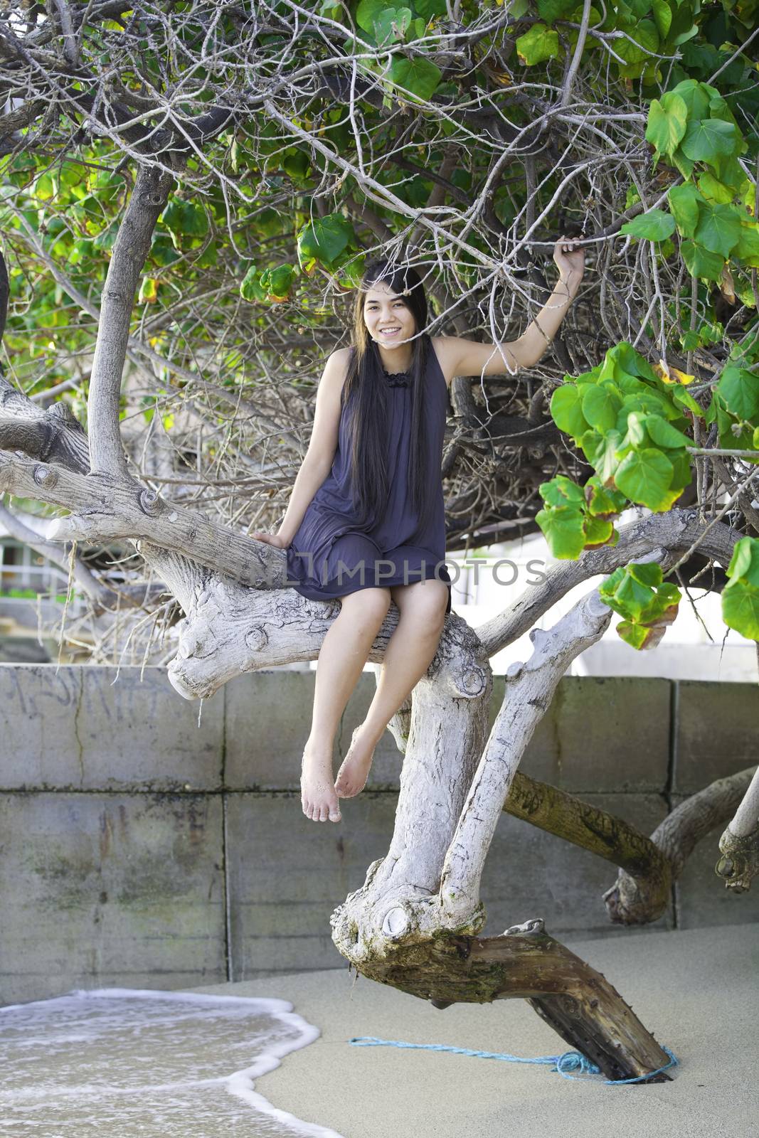 Beautiful biracial Asian Cuacasian teen girl sitting on tree branch of gnarled tree on the oceanside beach