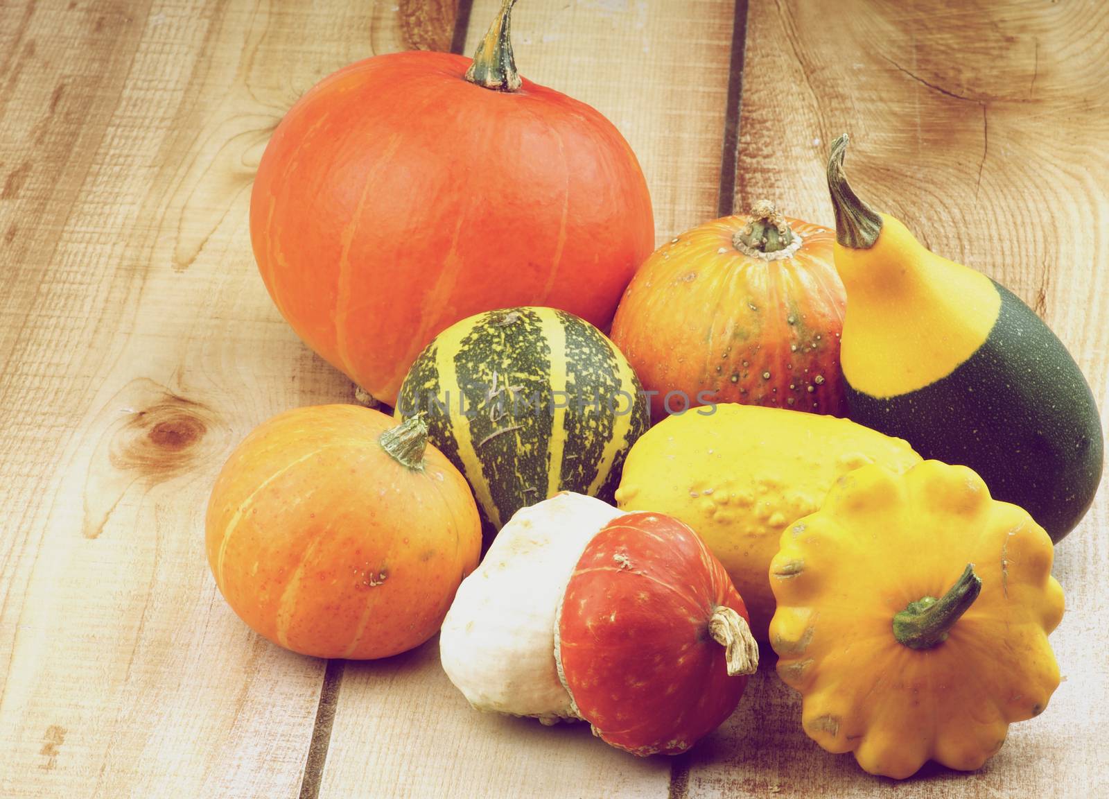Heap of Various Marrow, Squash and Pumpkins closeup on Wooden background. Retro Styled