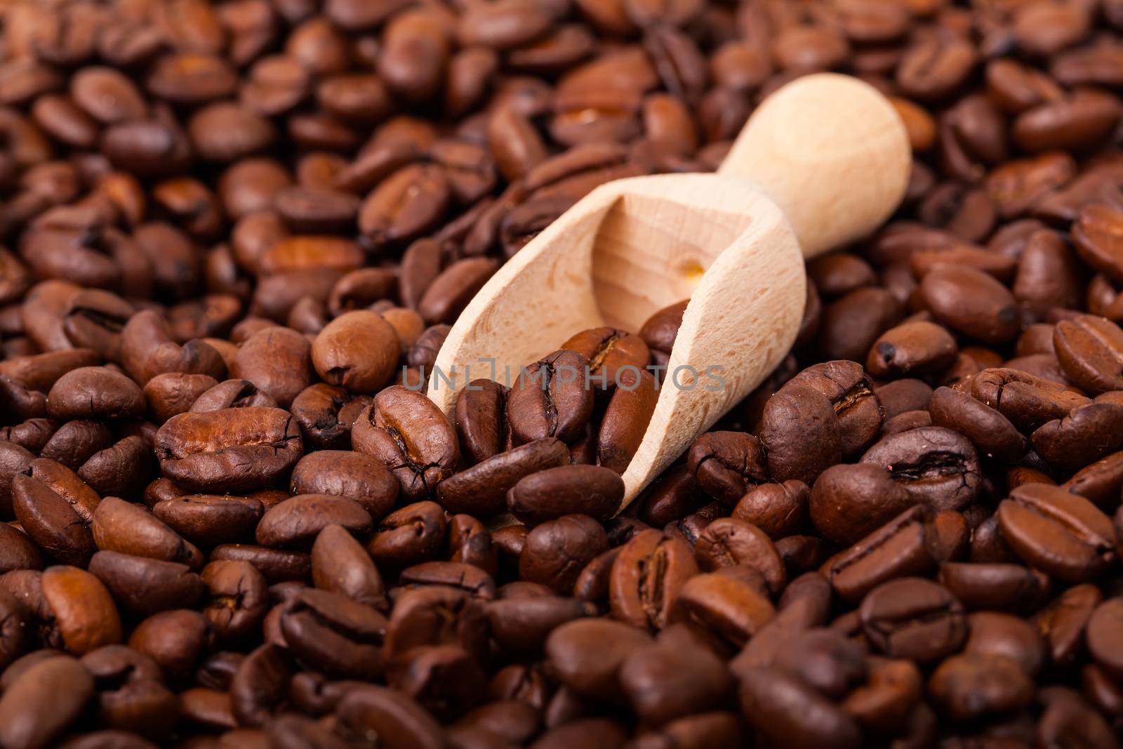 Coffee Beans./ Coffee Beans.