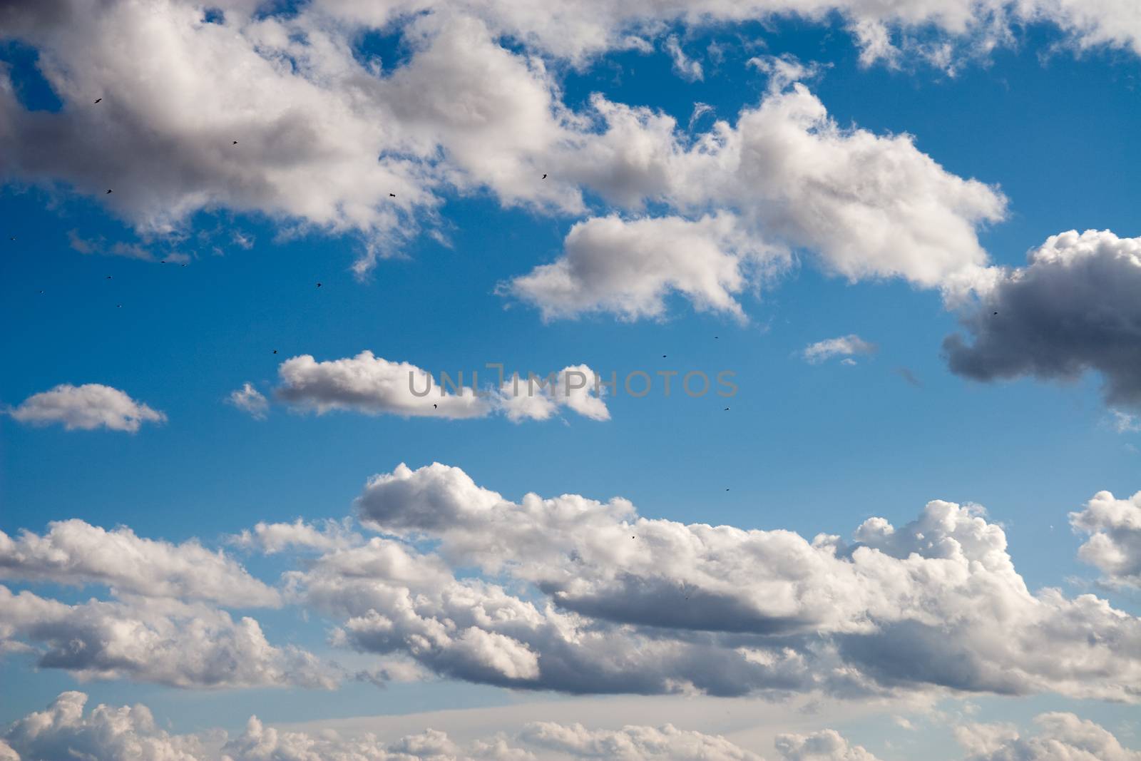 Blue sky with fluffy clouds by MilanMarkovic78