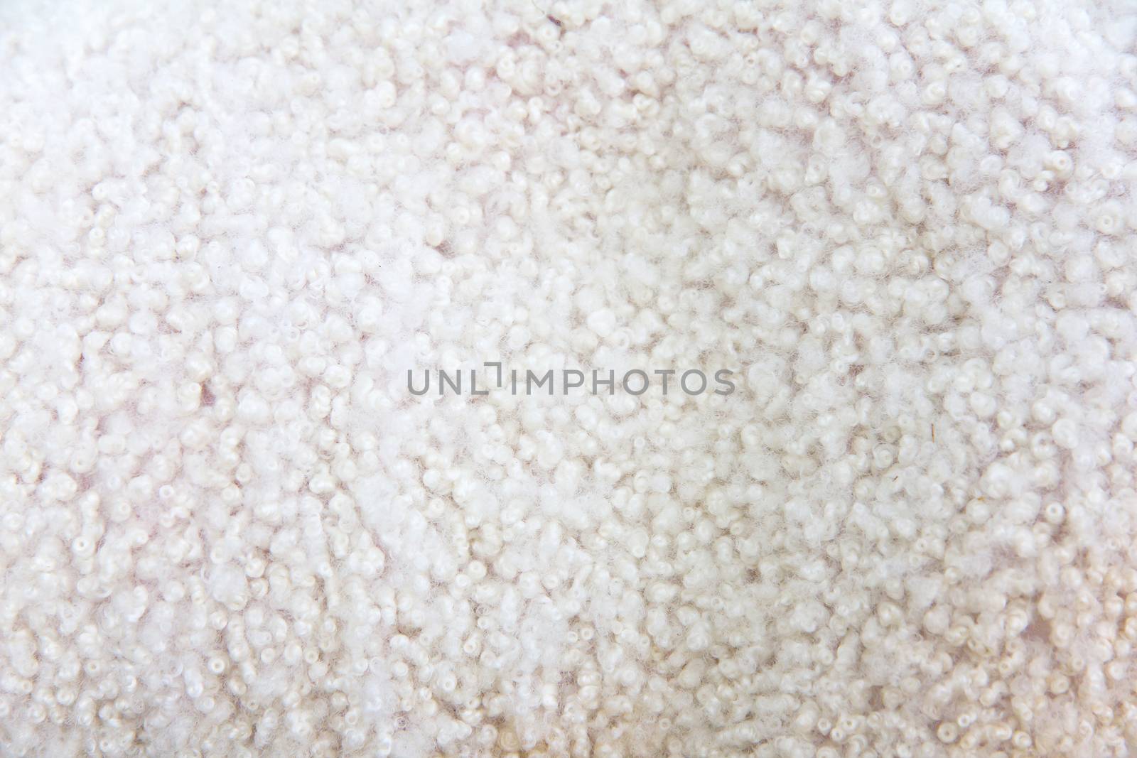 close up image of lambswool background texture