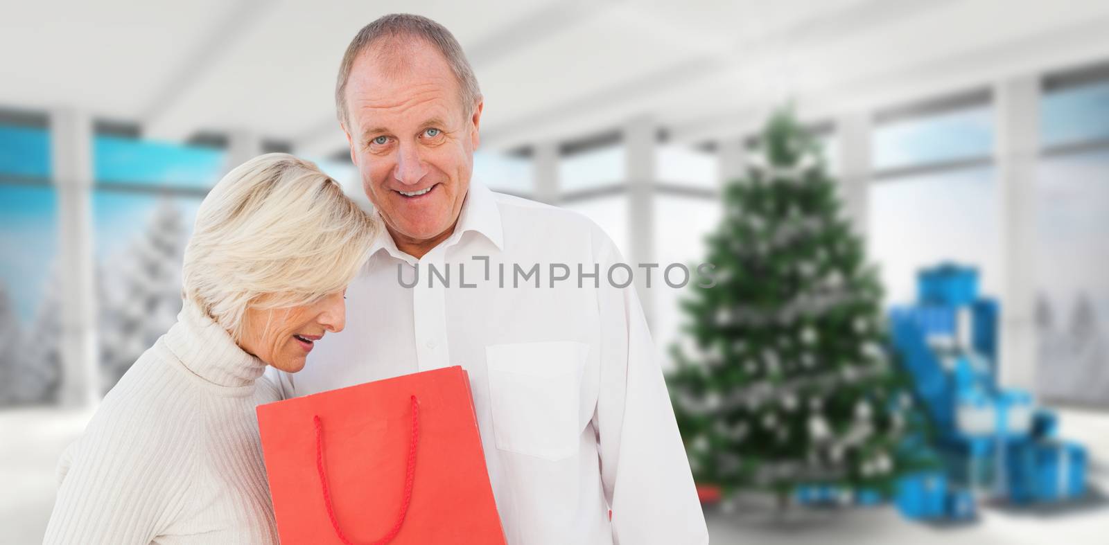 Couple with shopping bag against home with christmas tree