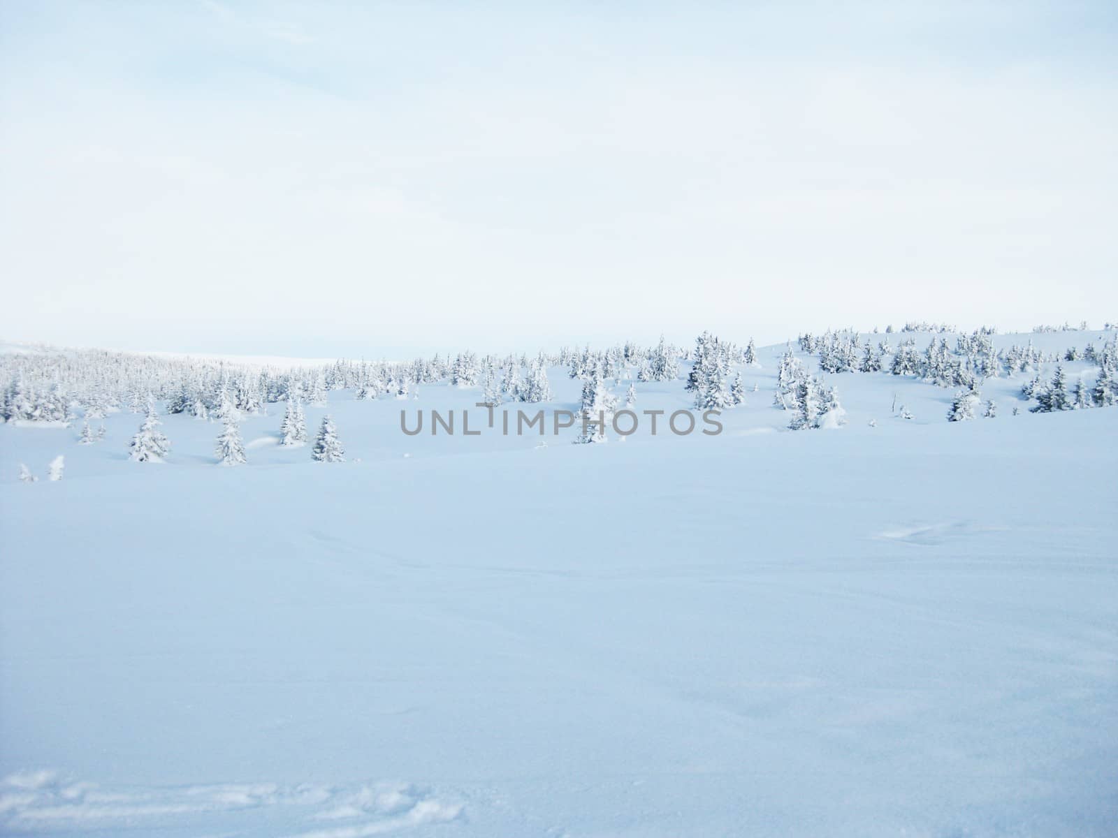Winter landscape from Norway