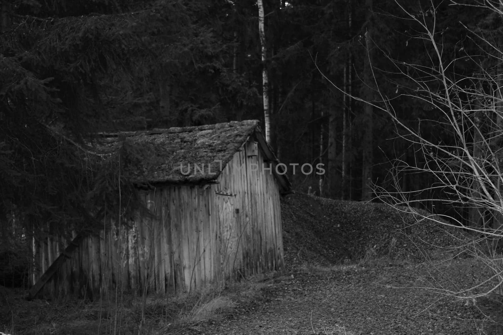 Old shed in greytones