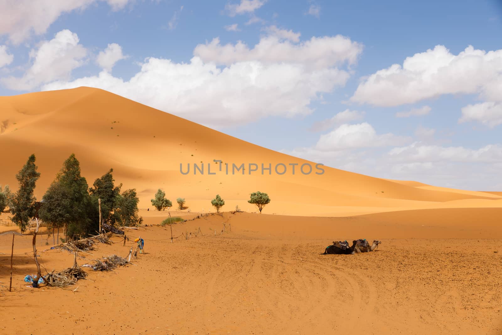 sand dune by Mieszko9