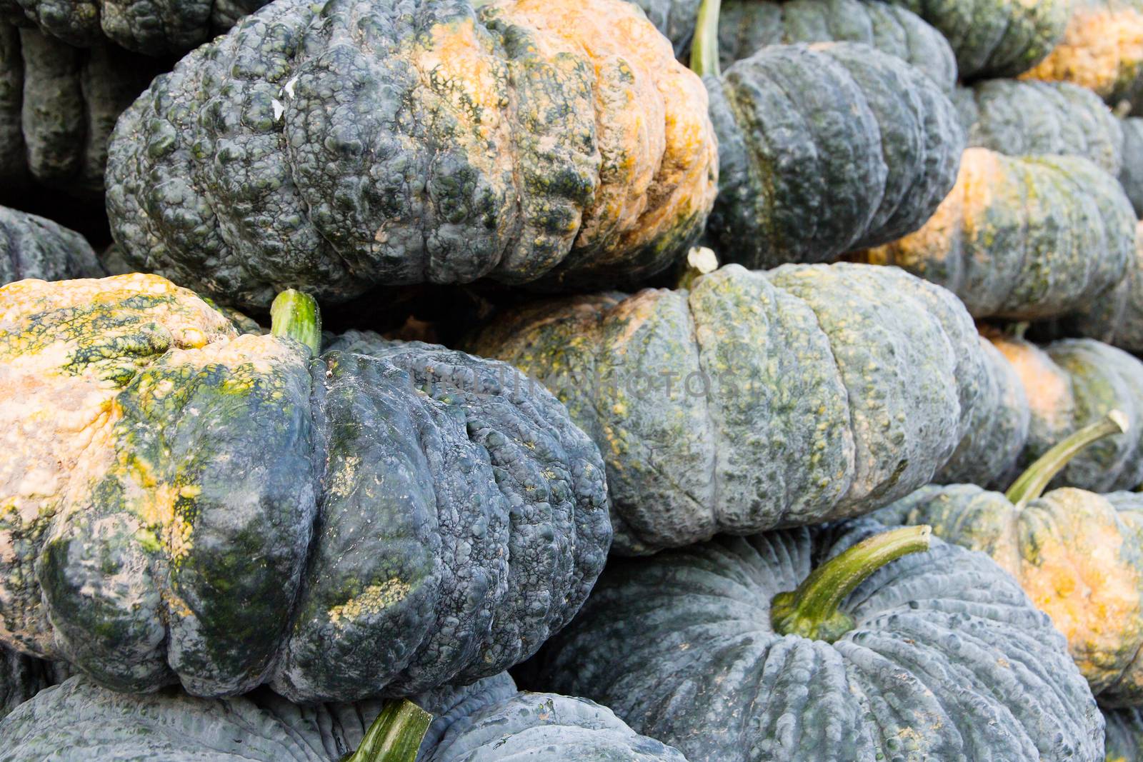 pile of pumpkin in market