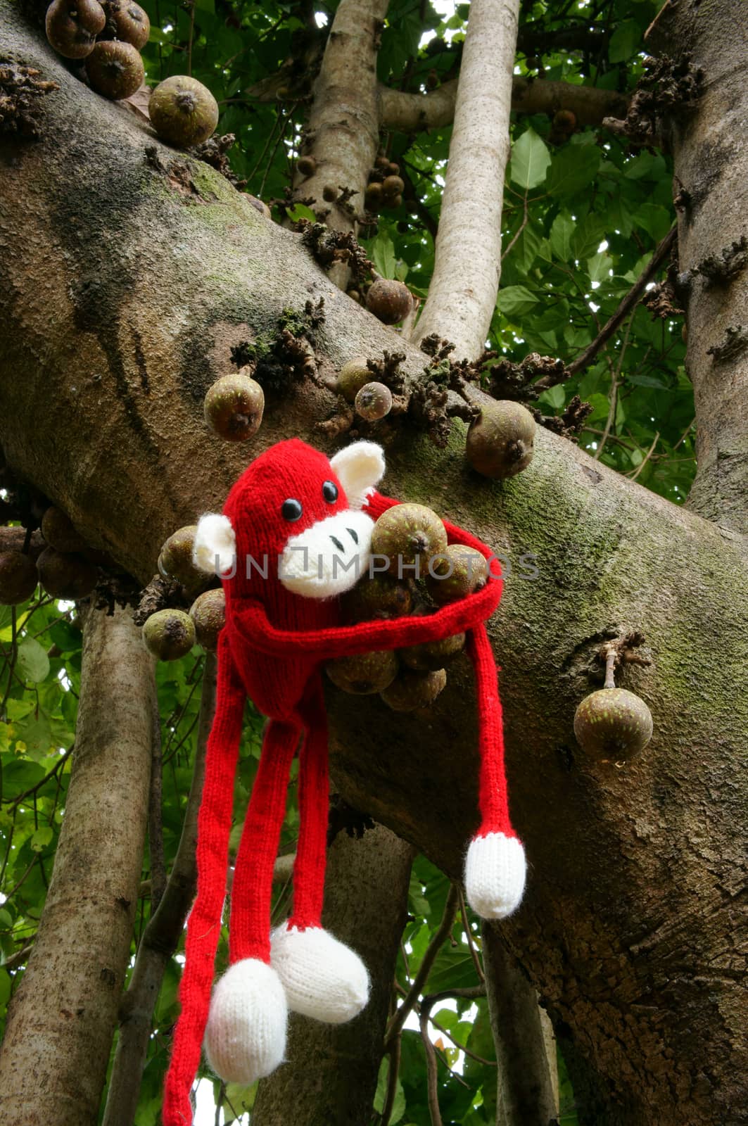knitted monkey, symbol 2016, year of the monkey by xuanhuongho