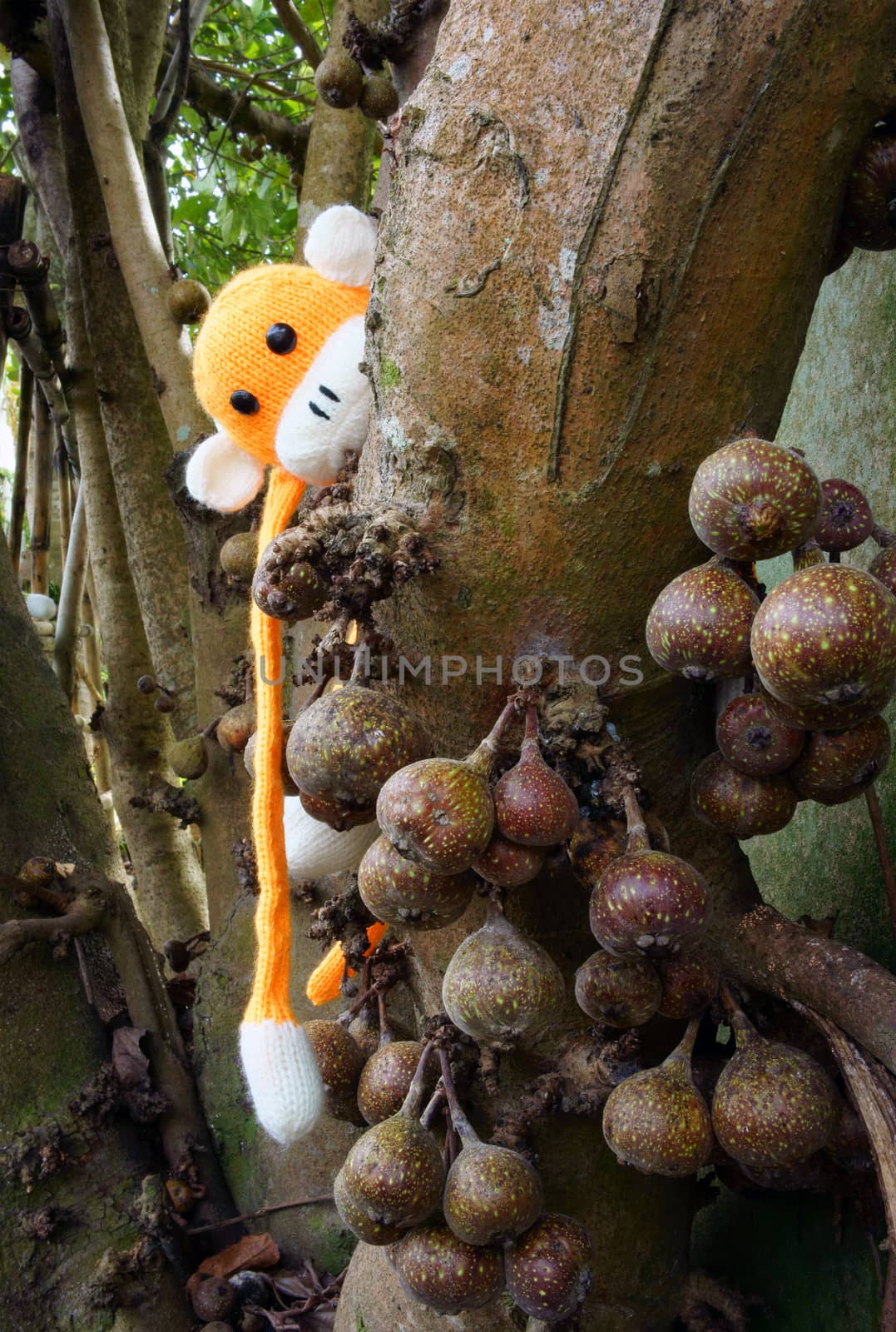 Amazing scene with group of knitted monkey climb tree, 2016 is year of the monkey, monkey symbol in colorful yarn to happy new year