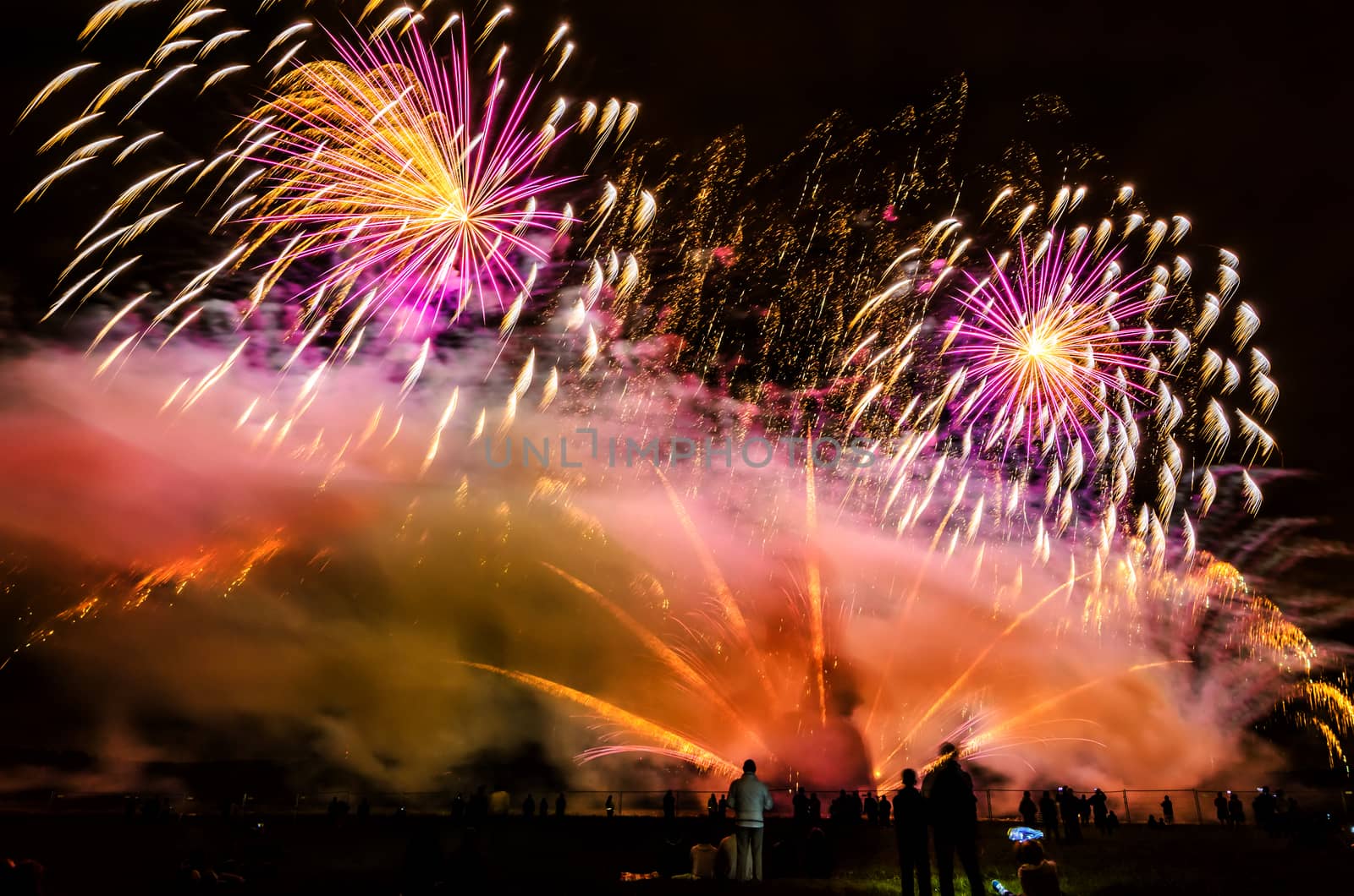 Colorful fireworks of various colors over night sky with spectators