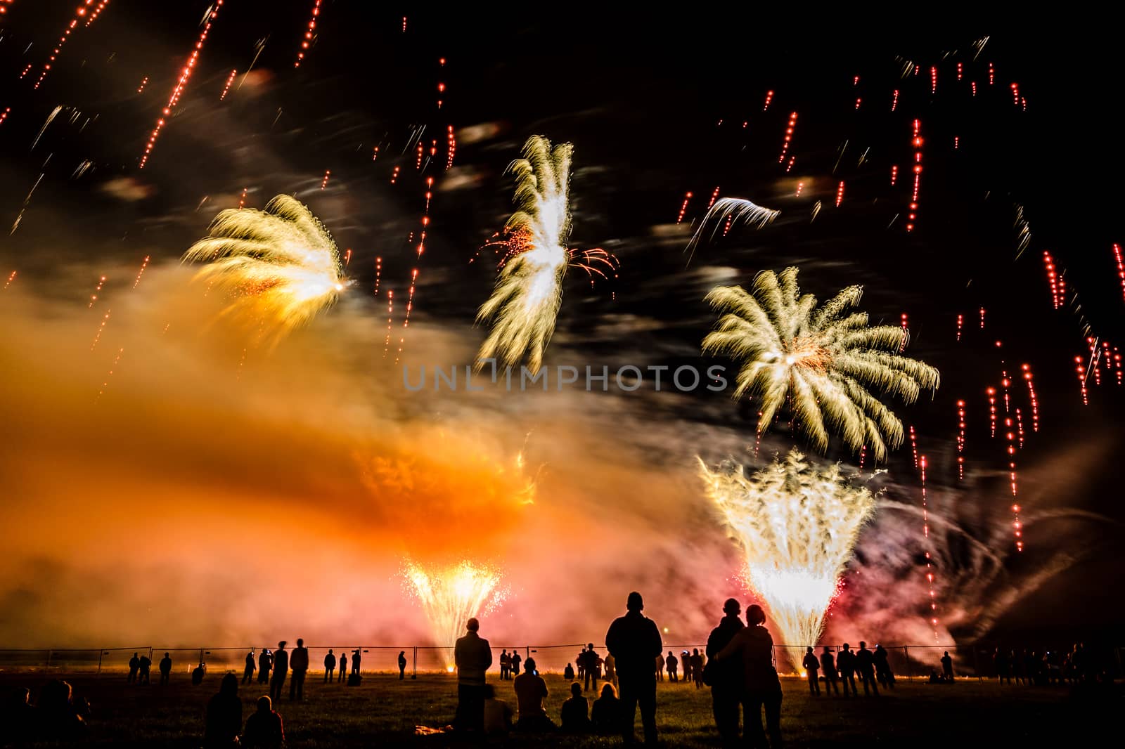 Colorful fireworks of various colors over night sky with spectators