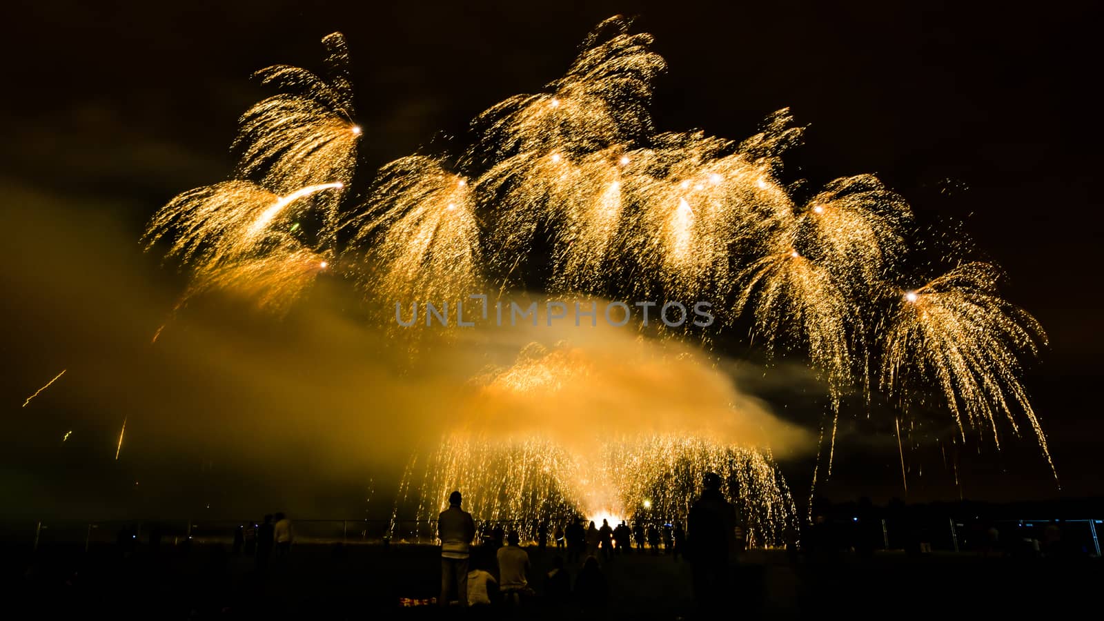 Colorful fireworks of various colors over night sky with spectators