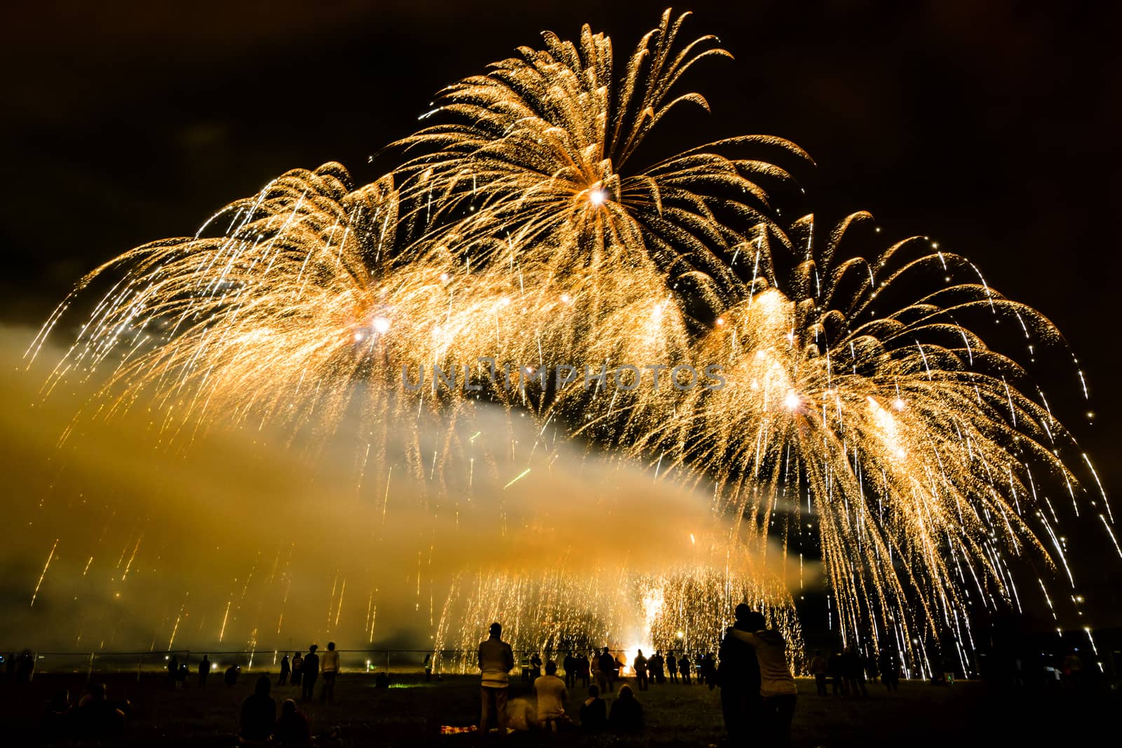 Colorful fireworks of various colors over night sky with spectators