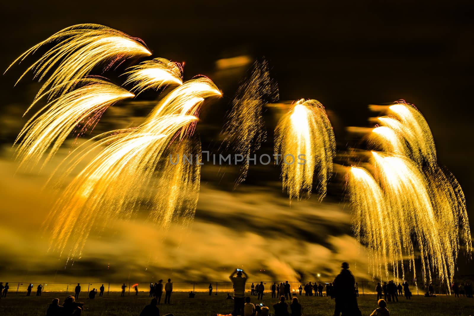 Colorful fireworks of various colors over night sky with spectators