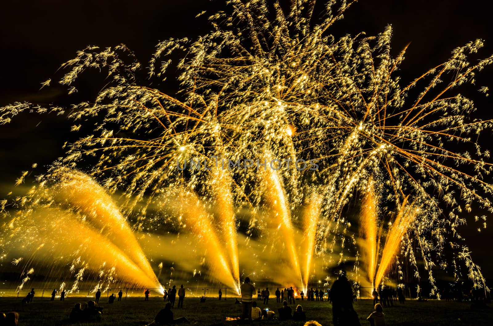 Colorful fireworks of various colors over night sky with spectators