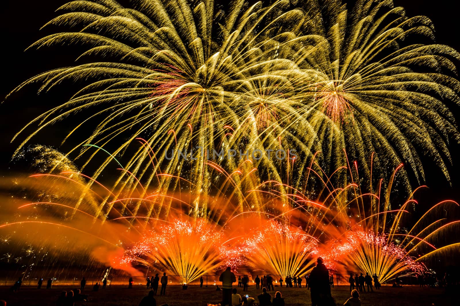 Colorful fireworks of various colors over night sky with spectators