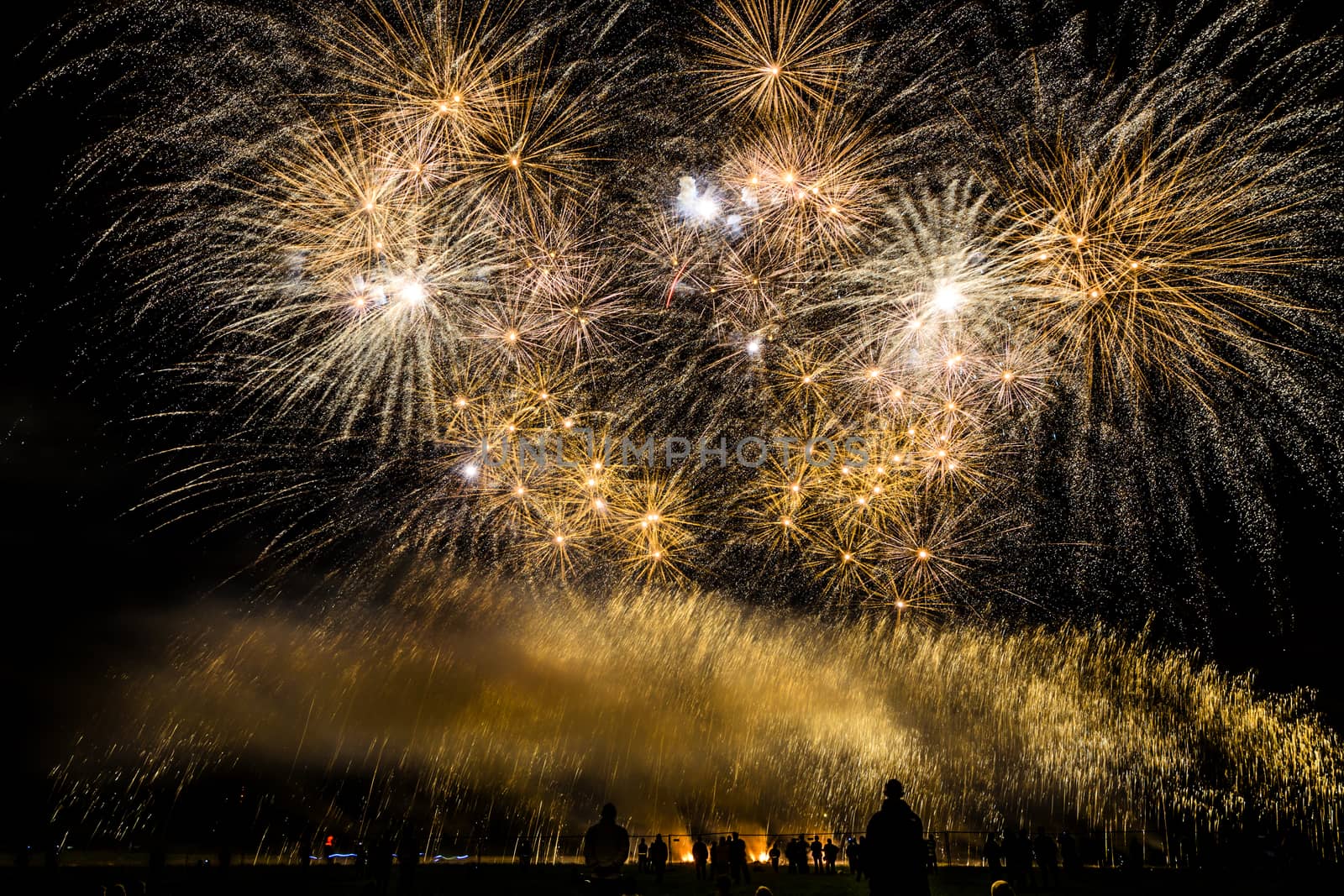 Colorful fireworks of various colors over night sky with spectators