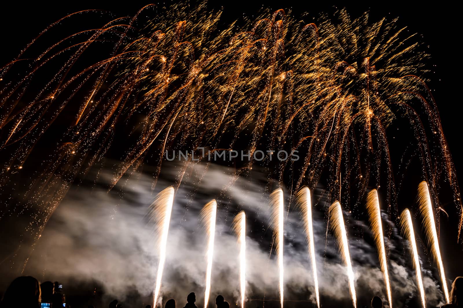 Colorful fireworks of various colors over night sky with spectators