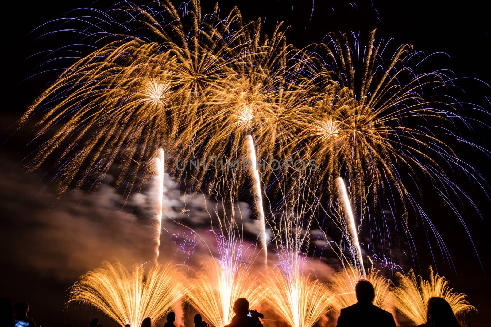 Colorful fireworks of various colors over night sky with spectators