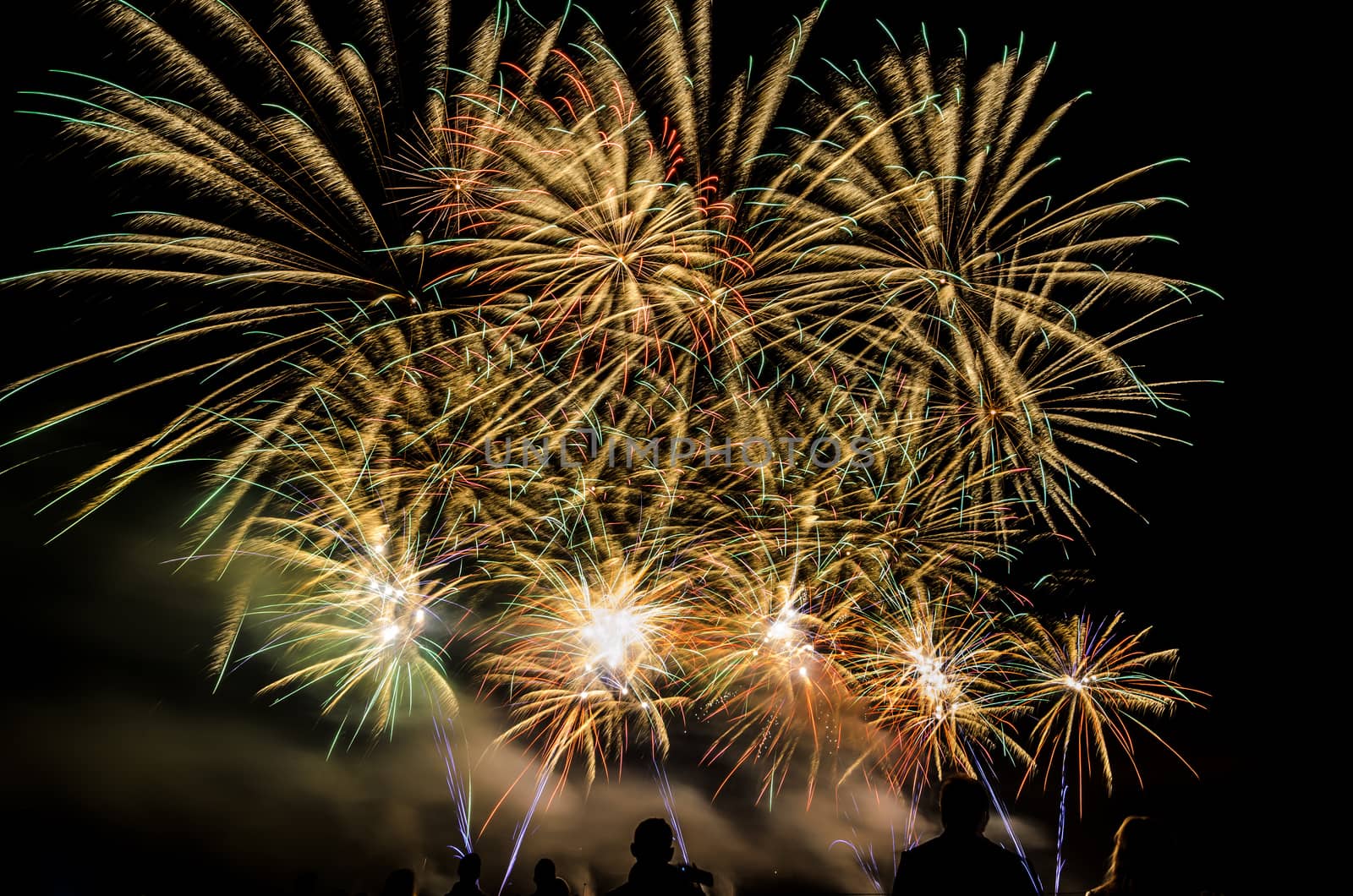 Colorful fireworks of various colors over night sky with spectators