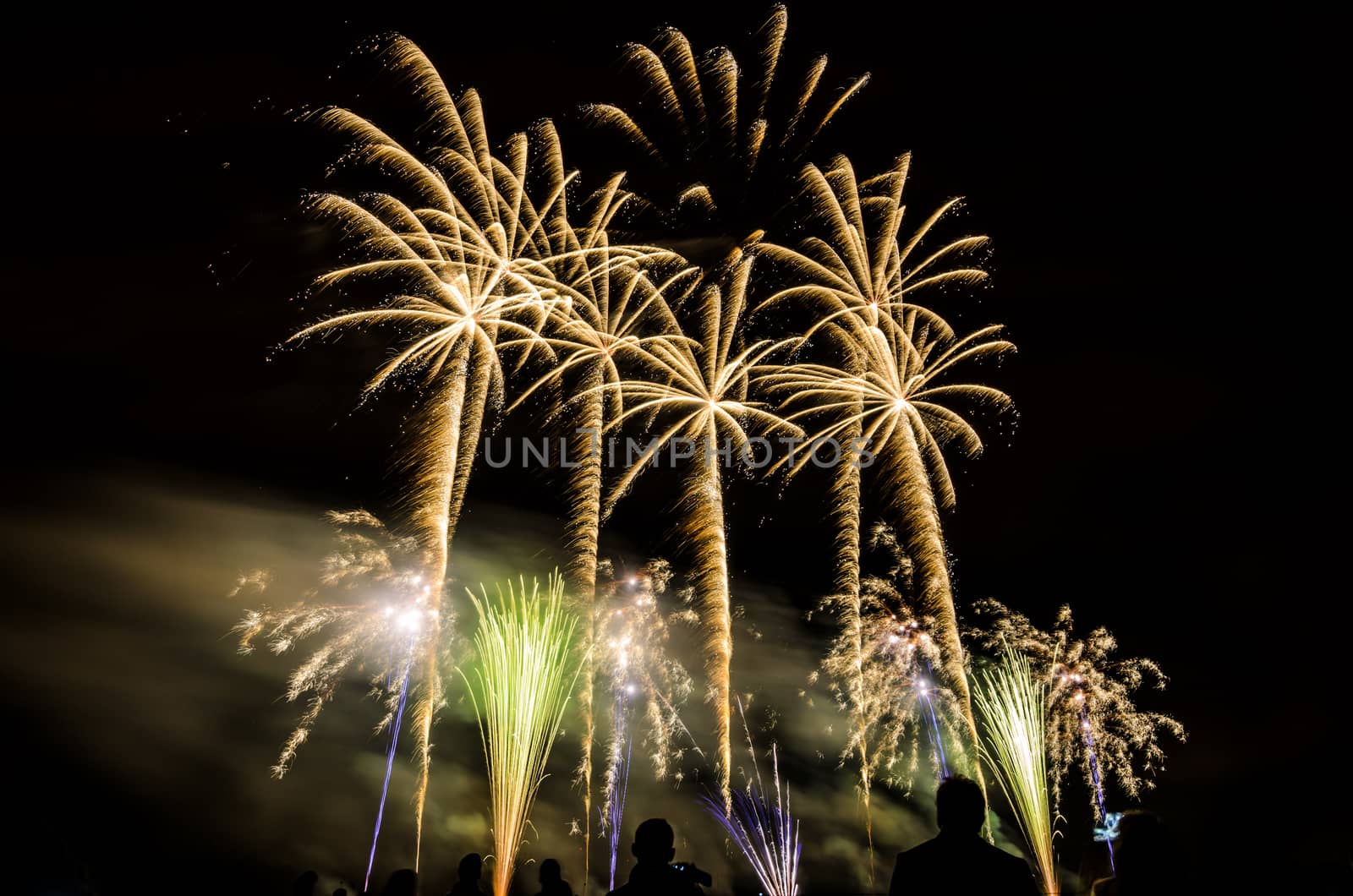 Colorful fireworks of various colors over night sky with spectators