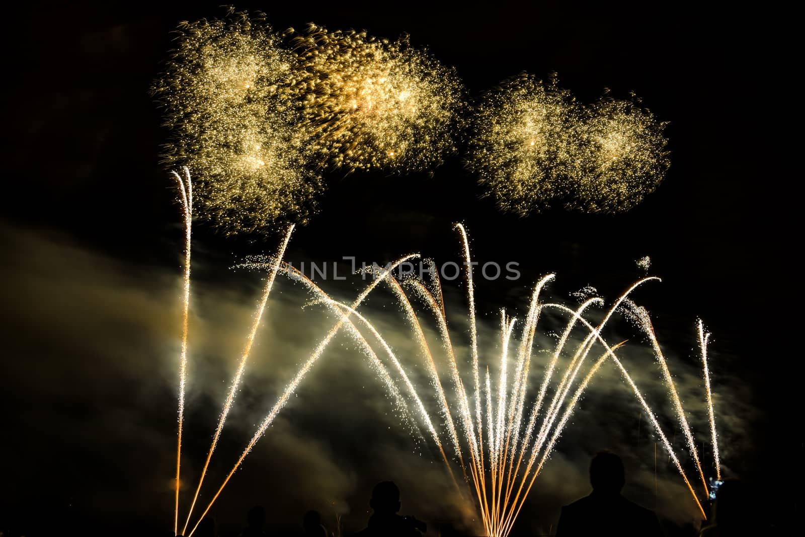 Colorful fireworks of various colors over night sky with spectators