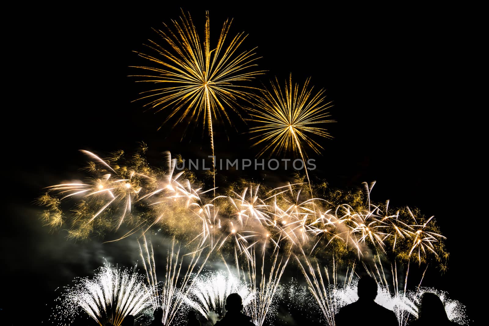 Colorful fireworks of various colors over night sky with spectators