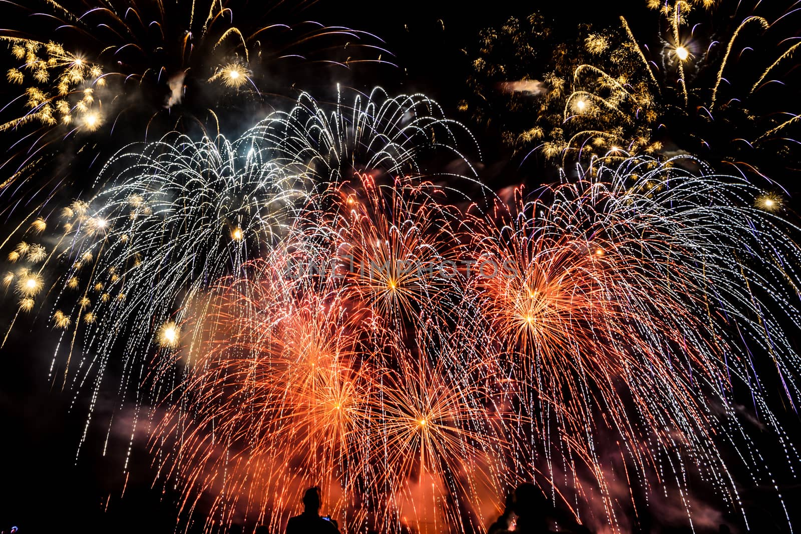 Colorful fireworks of various colors over night sky with spectators