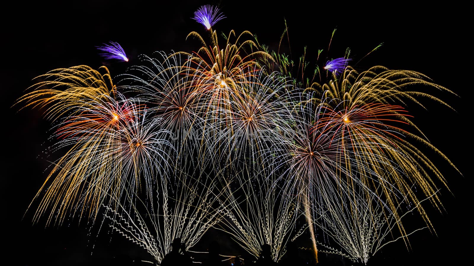 Colorful fireworks of various colors over night sky with spectators