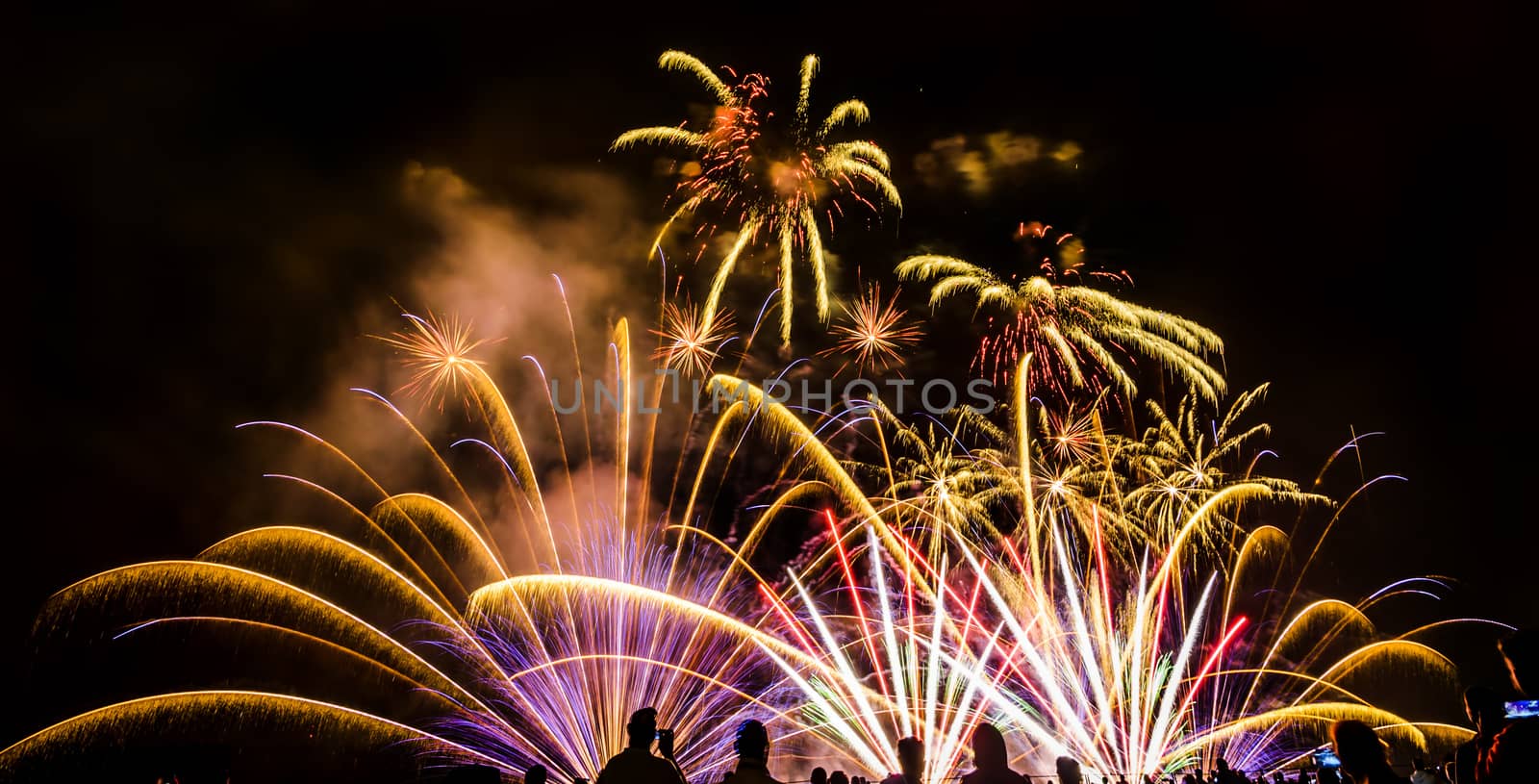 Colorful fireworks of various colors over night sky with spectators