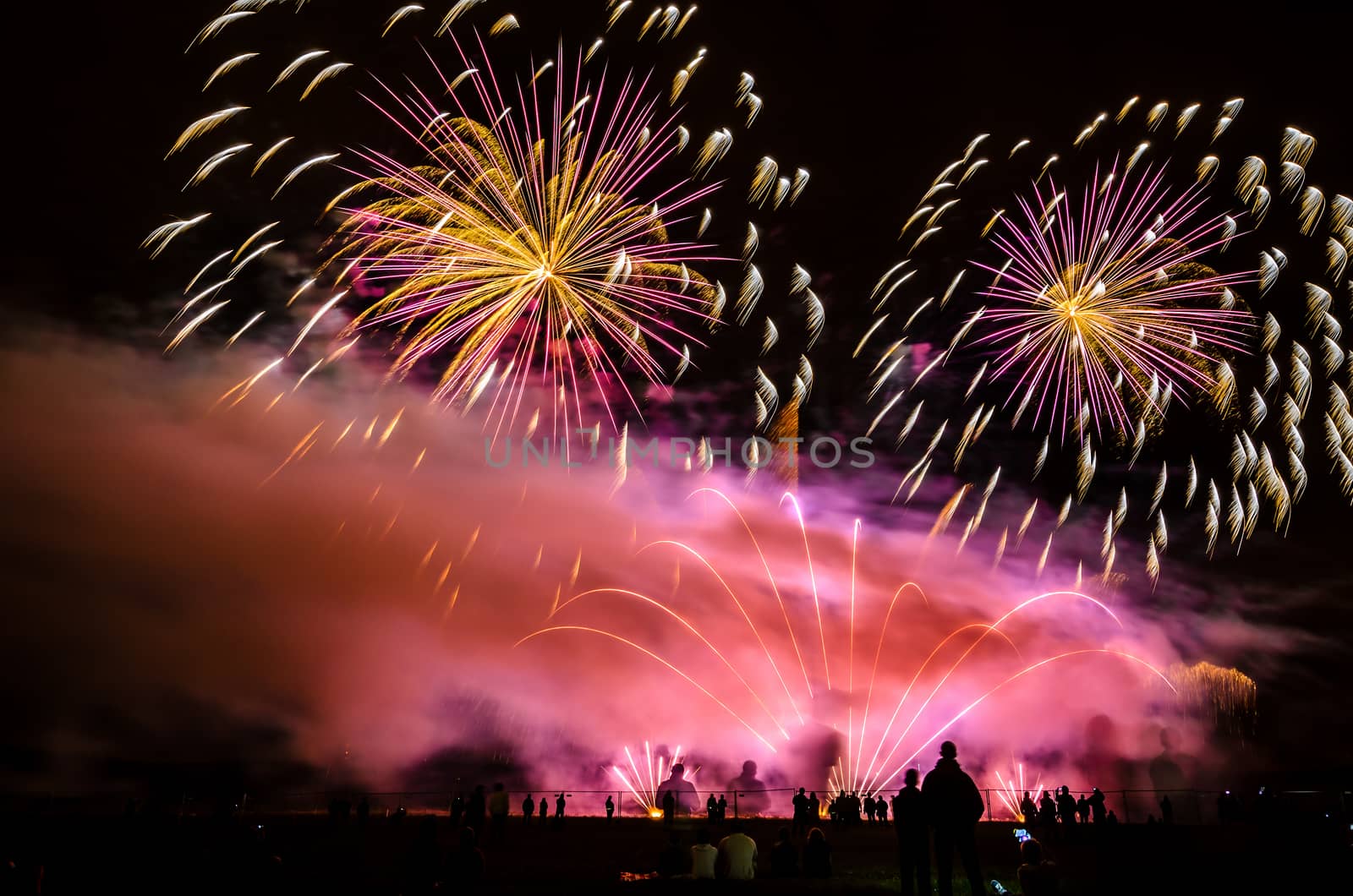 Colorful fireworks of various colors over night sky with spectators