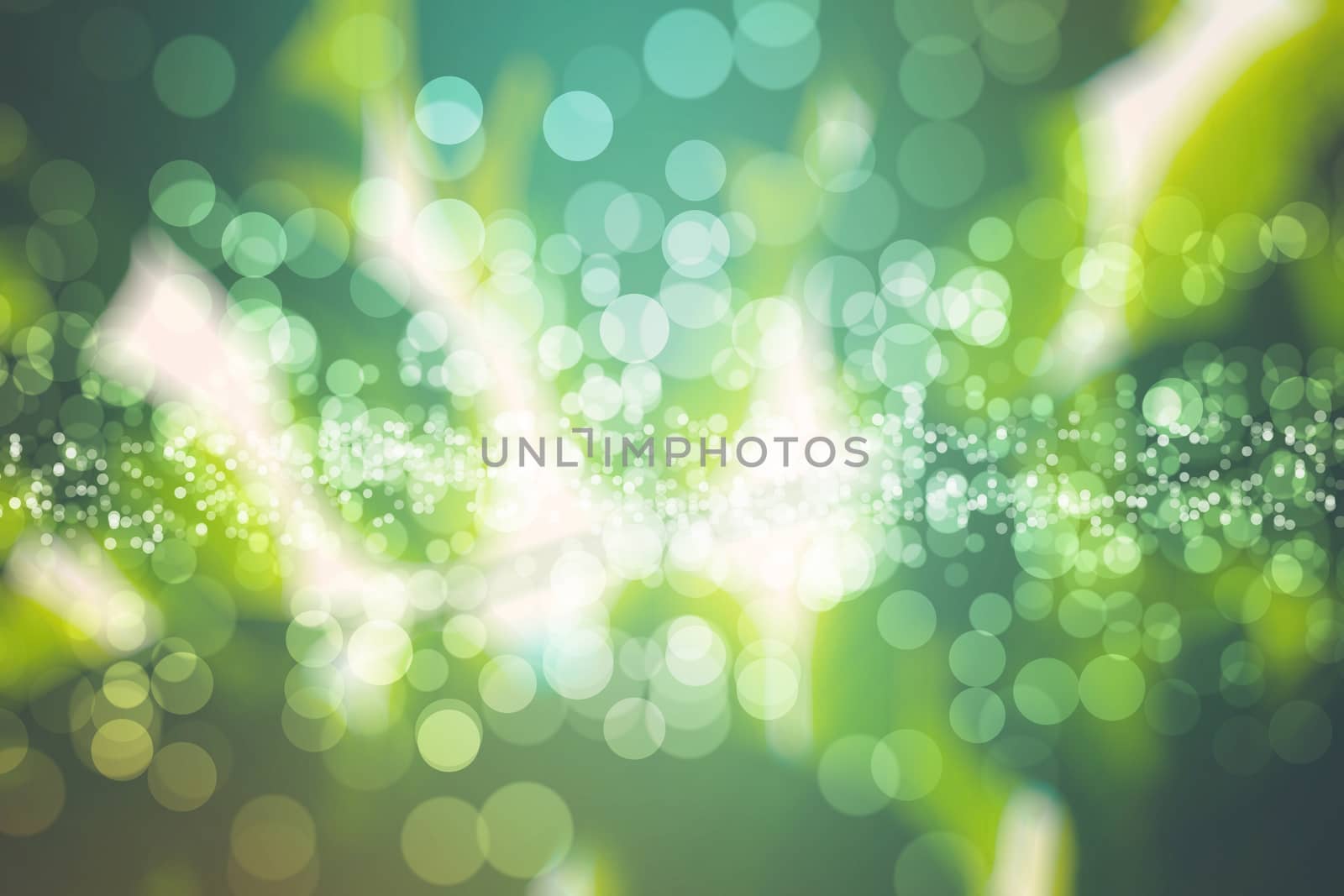 abstract natural blur background, defocused leaves, bokeh by teerawit