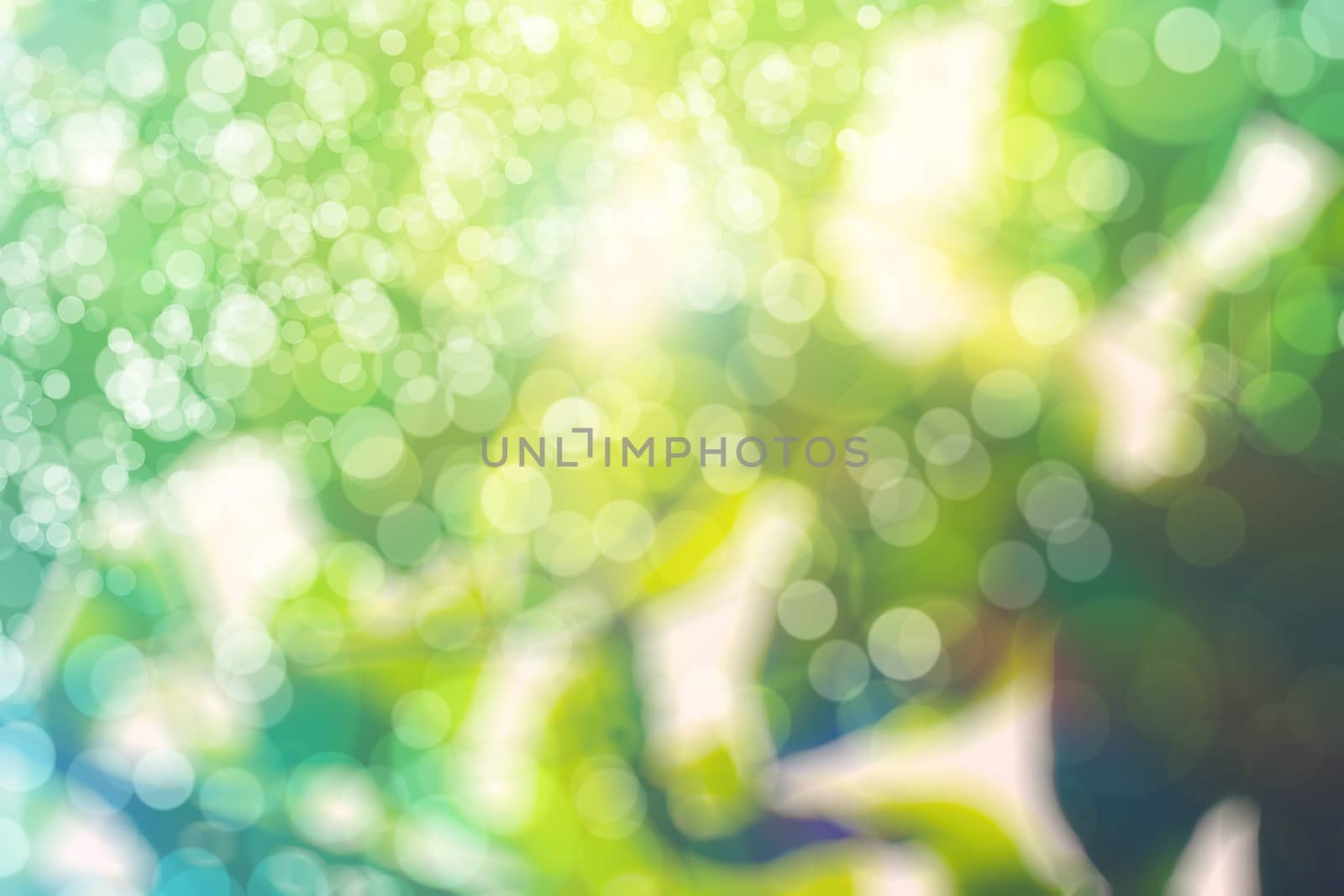 abstract natural blur background, defocused leaves, bokeh by teerawit