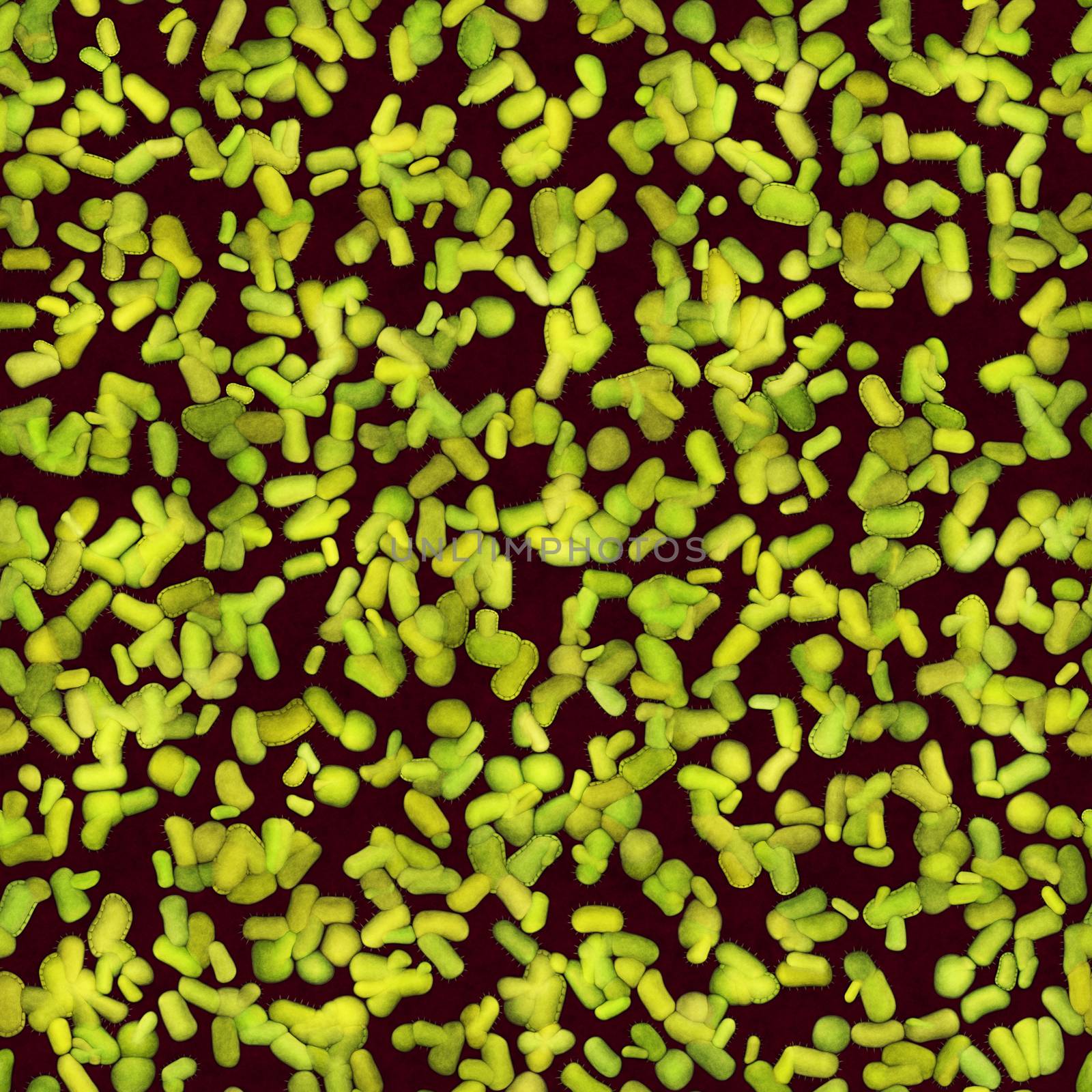 Green cells of bacteria by Attila