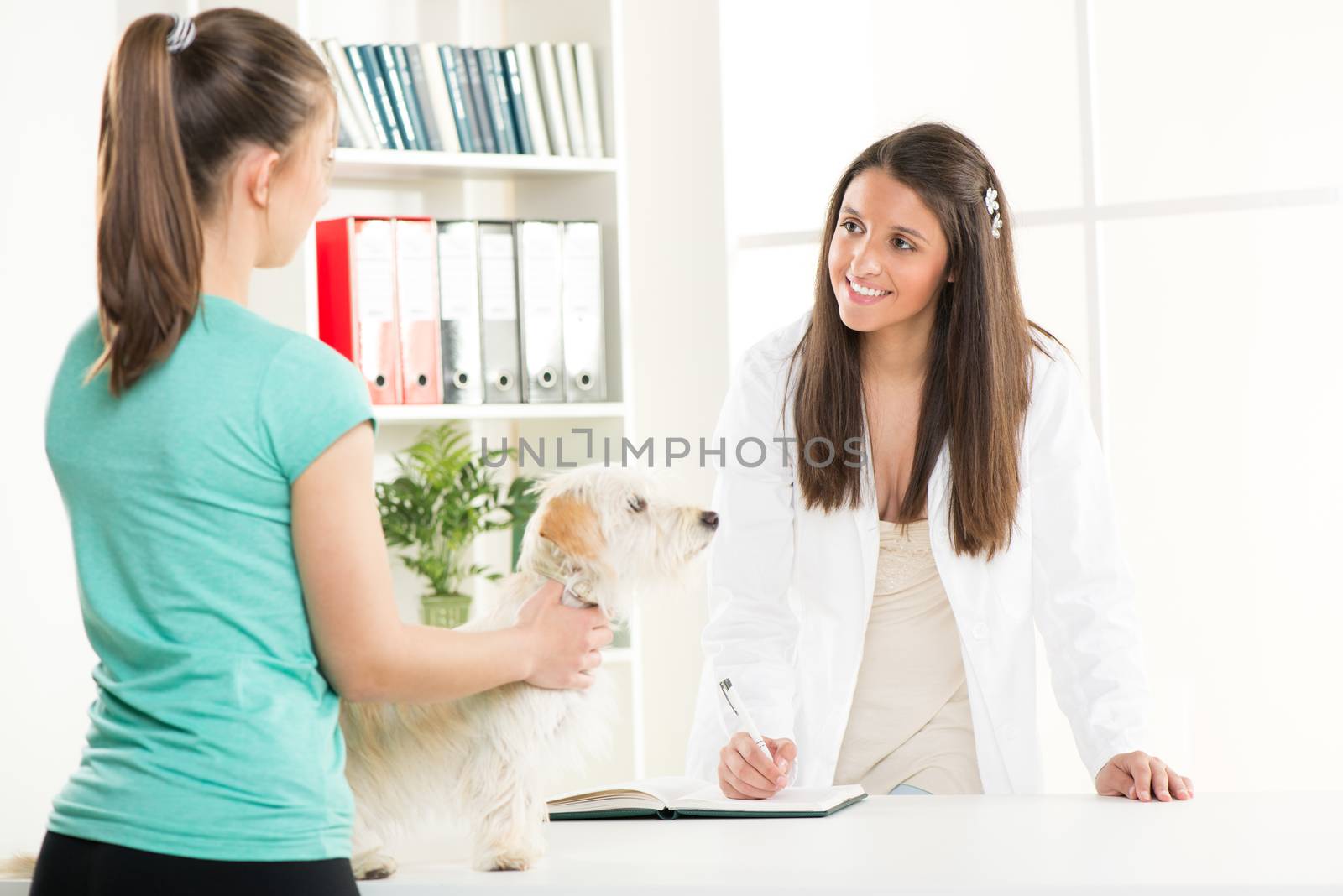 Young female vet with a cute beautiful dog and owner.