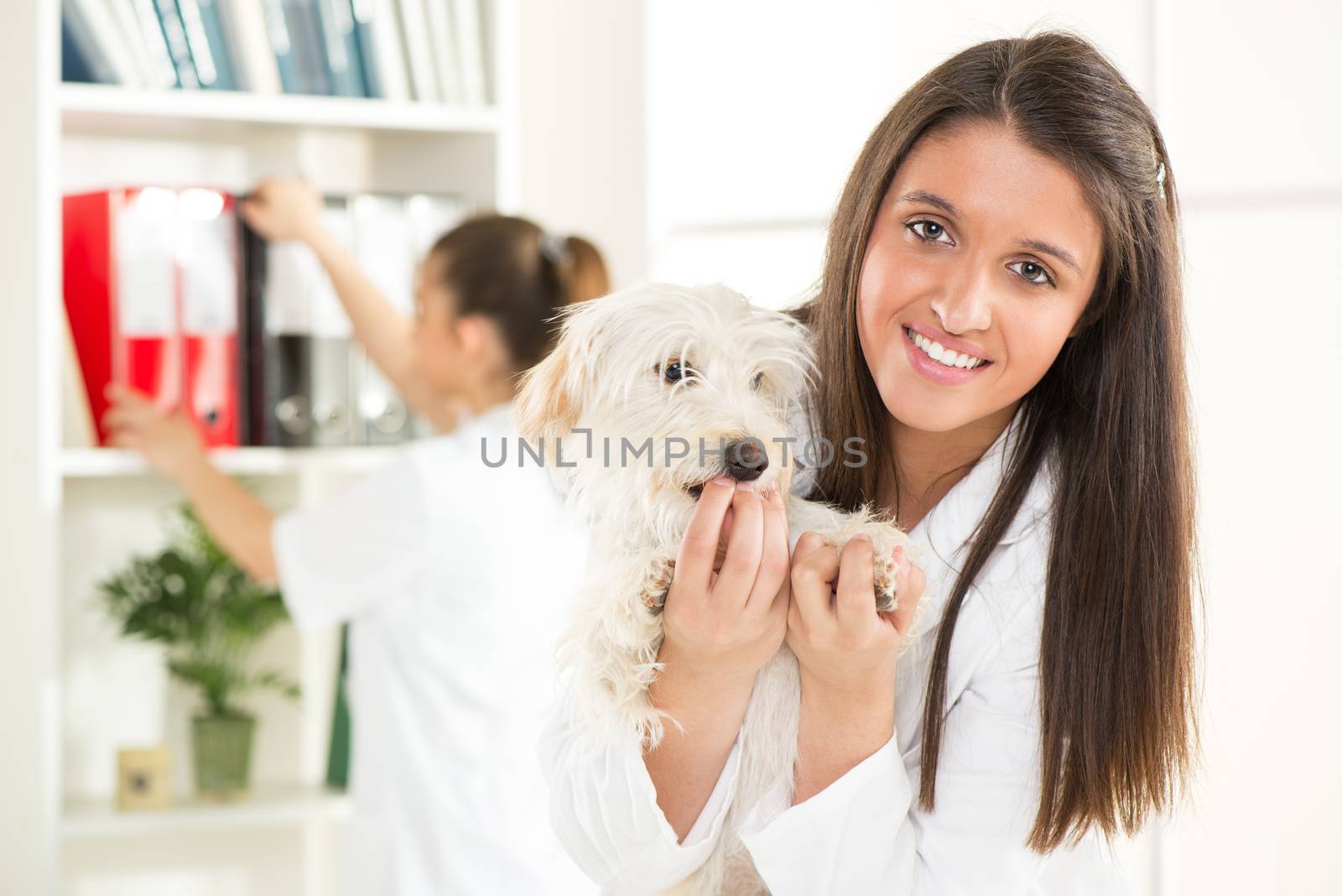 Young female vet with a cute beautiful dog.