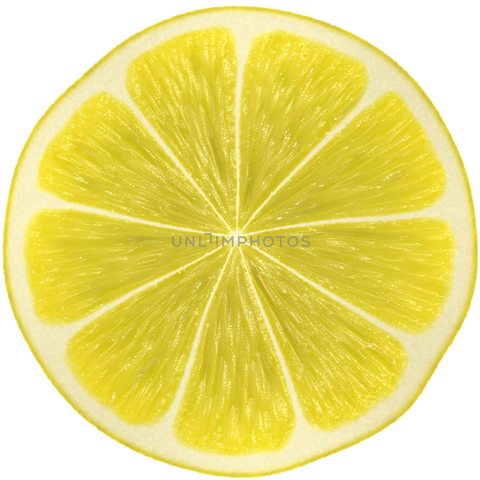 Slice of lemon isolated on white background by Attila