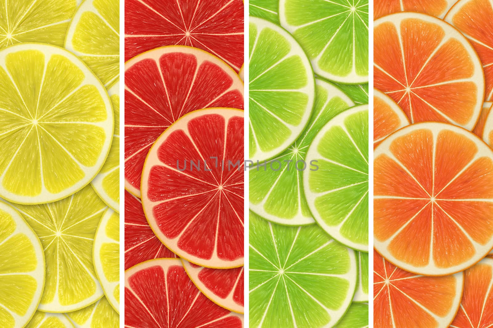 Collage of sliced citruses background by Attila