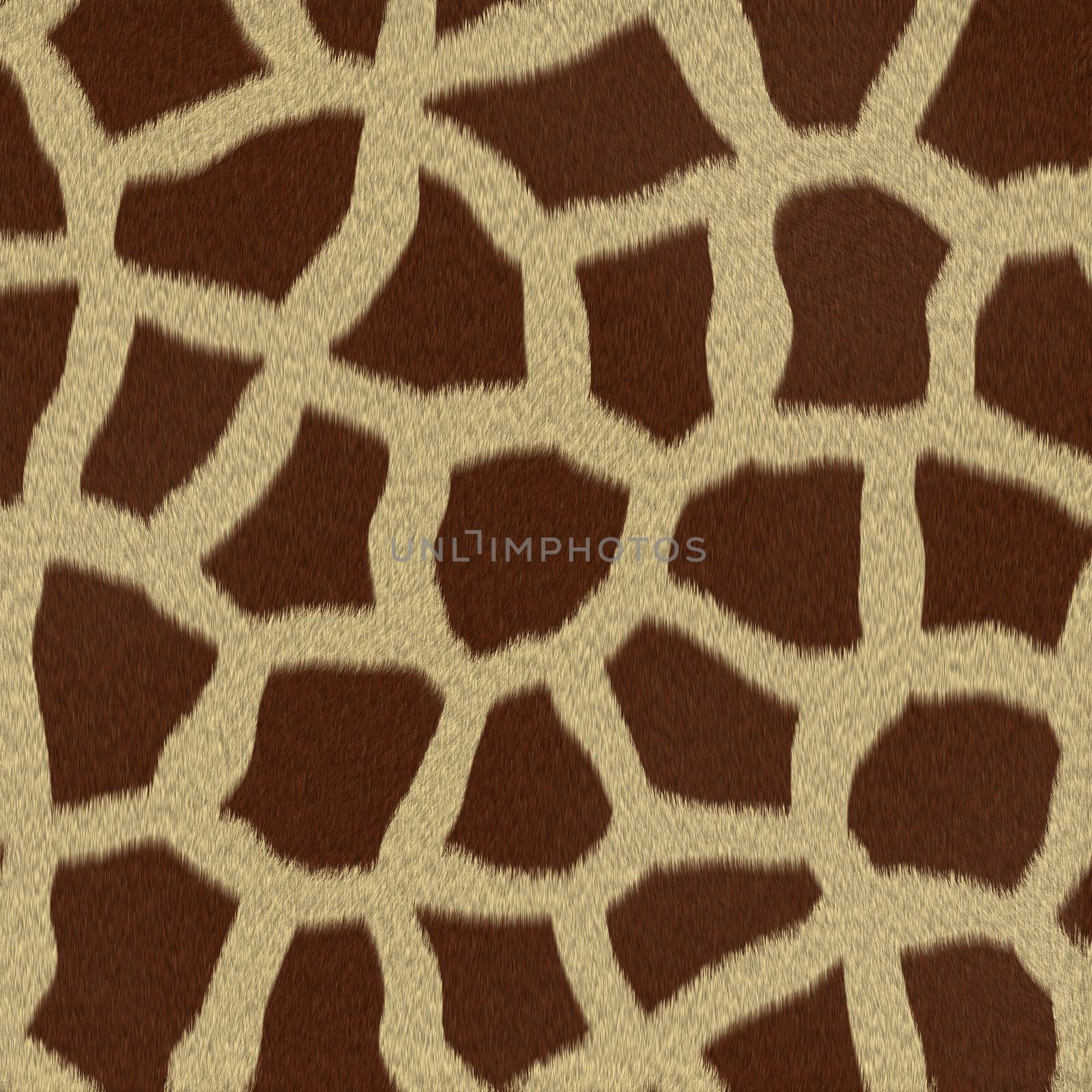 Giraffe fur (skin) background or texture by Attila