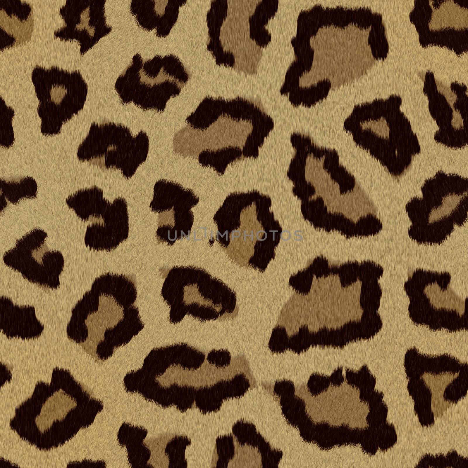 Leopard fur (skin) background or texture