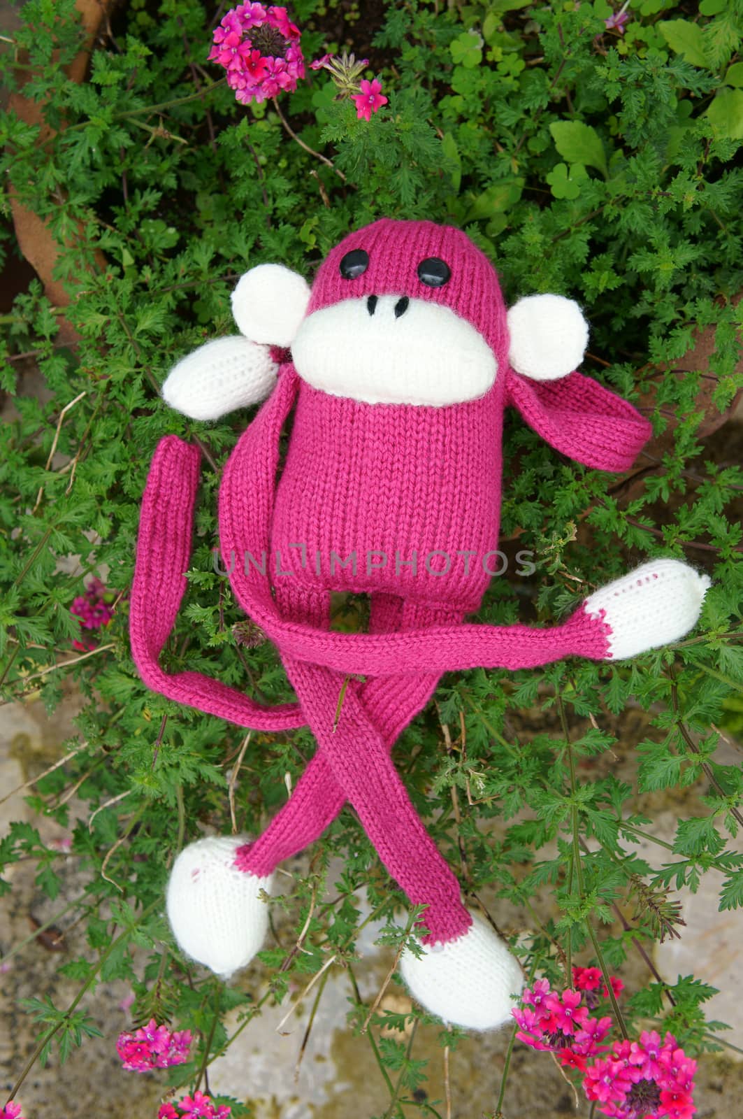 Abstract knitted monkey, symbol of year 2016, handmade toy from yarn, she lie down or sit lonely among nature, happy new year 2016, year of the monkey